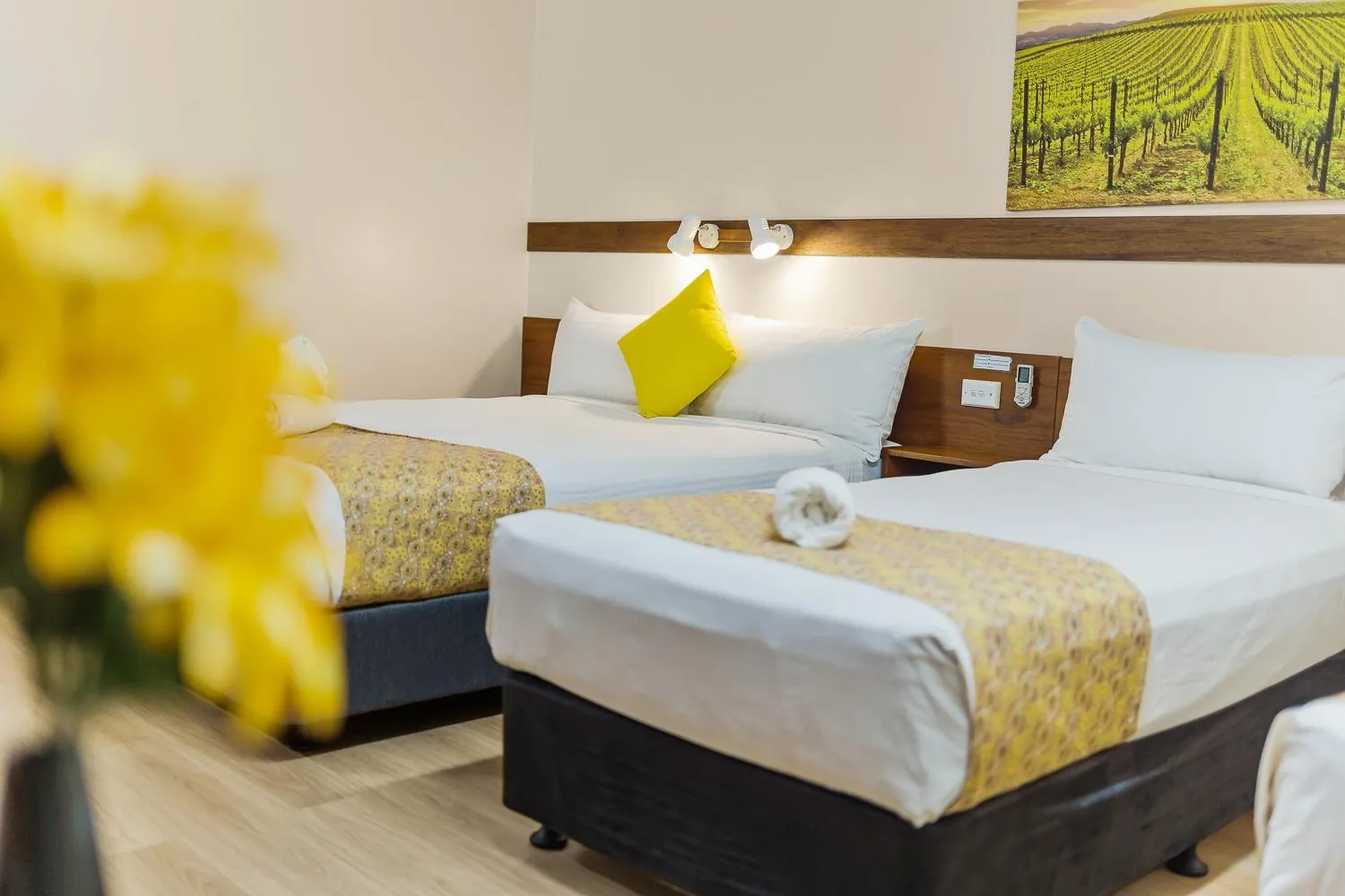 Bed in Castlereagh Motor Inn