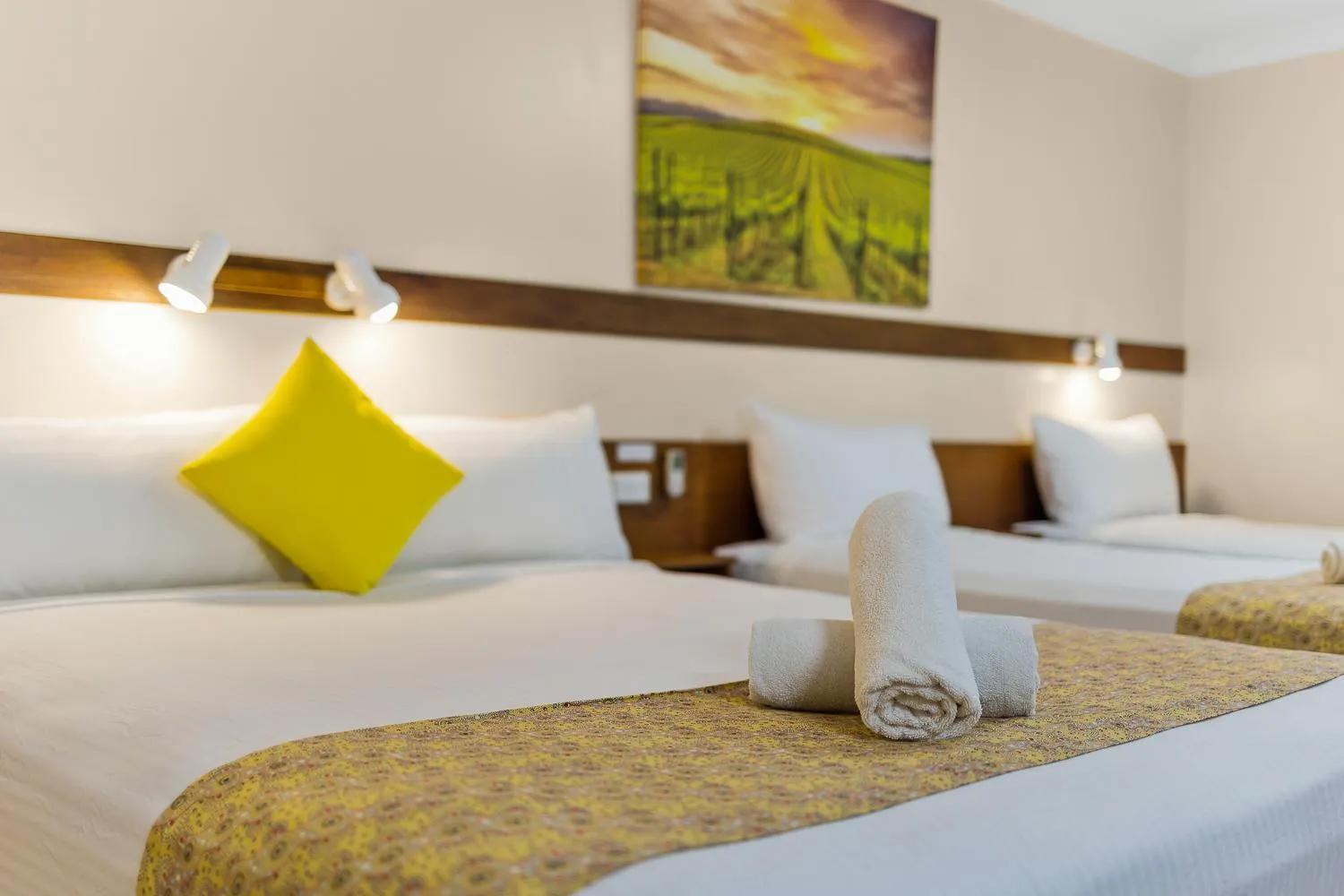 Bed in Castlereagh Motor Inn