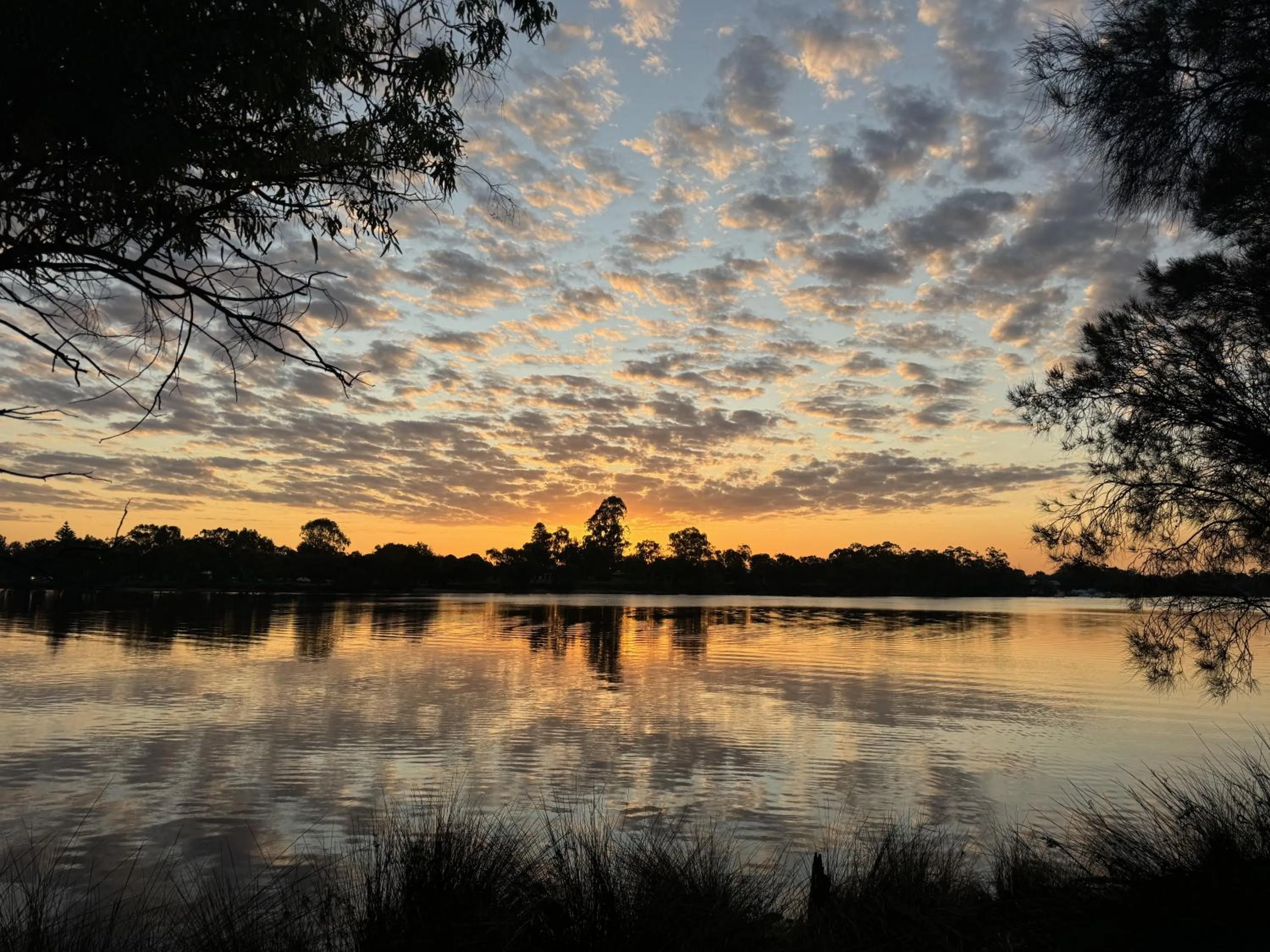 Neighbourhood in Flag Motor Lodge