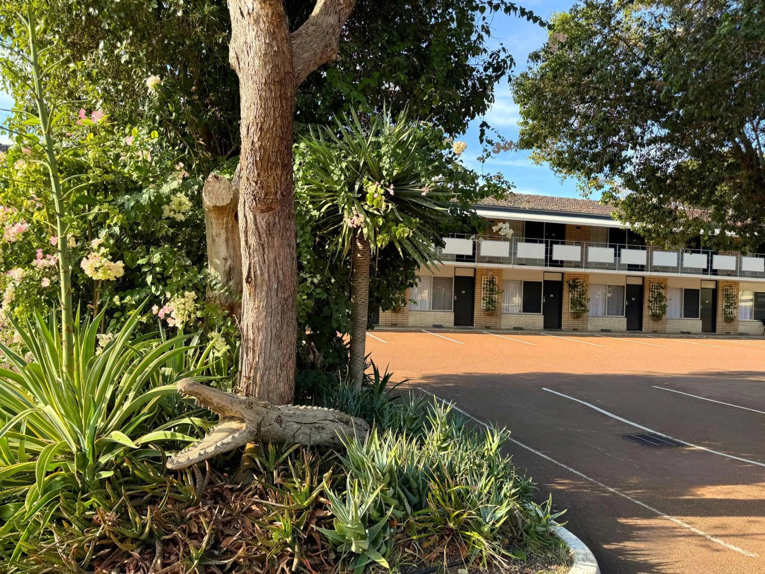 Property building in Flag Motor Lodge