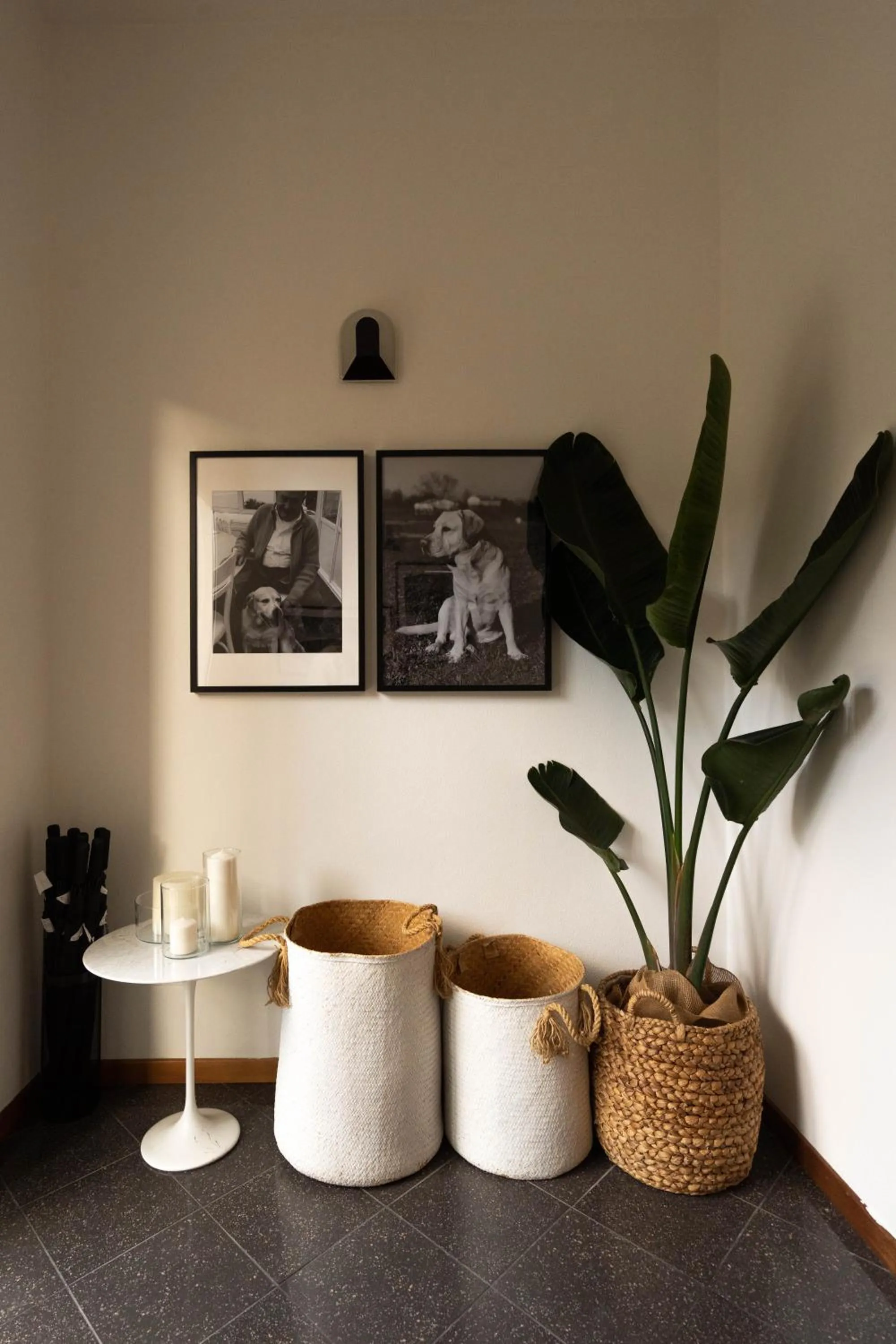 Decorative detail in Hotel Adriatica con Piscina