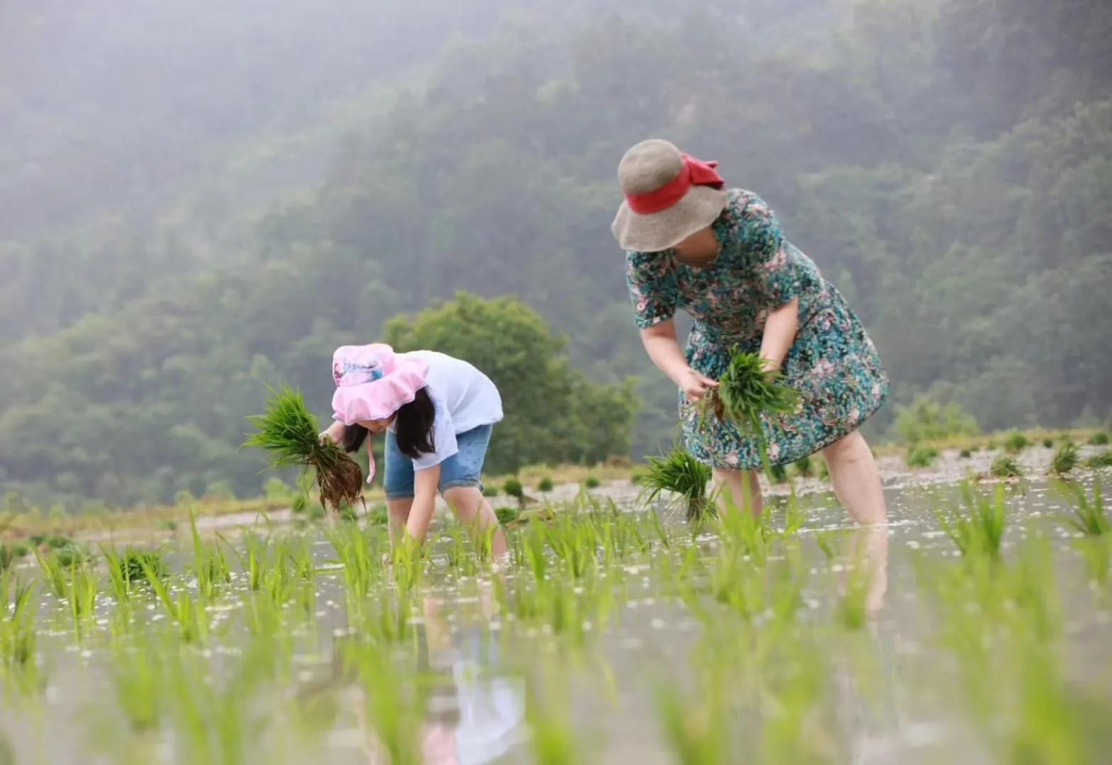 Activities in No.5 Valley Lodge