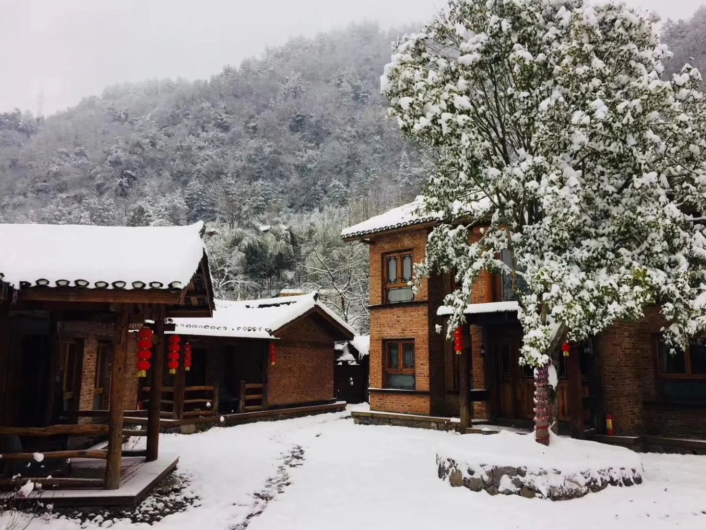 Winter in No.5 Valley Lodge
