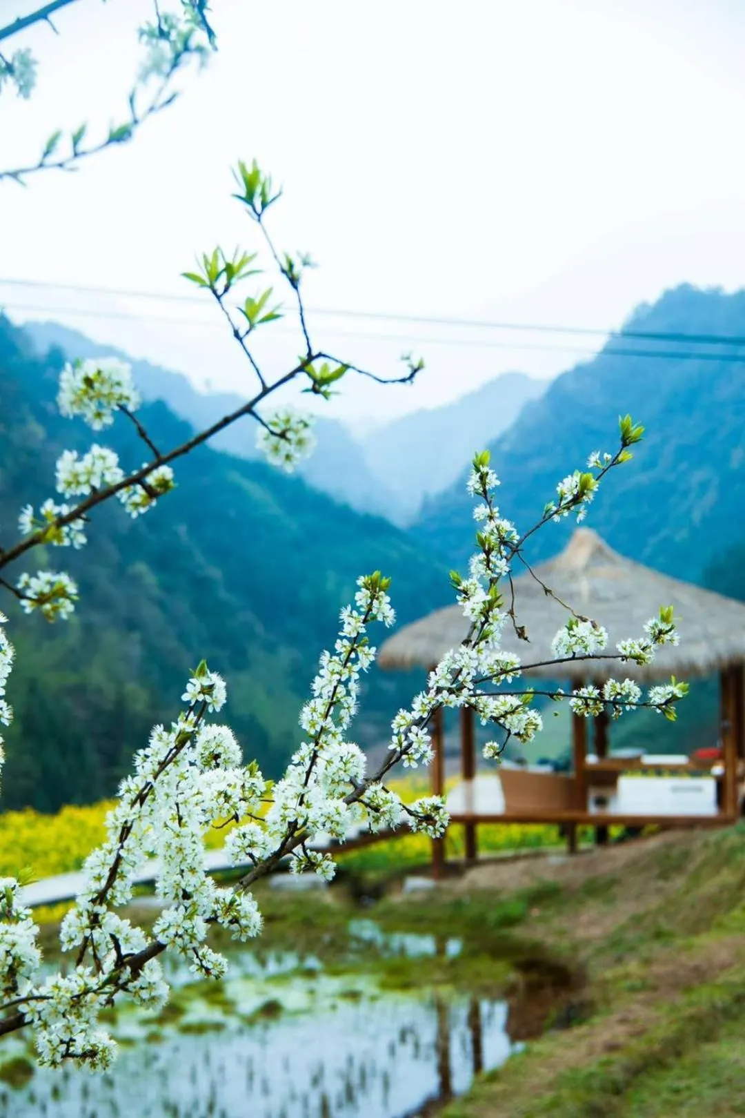 Natural landscape in No.5 Valley Lodge