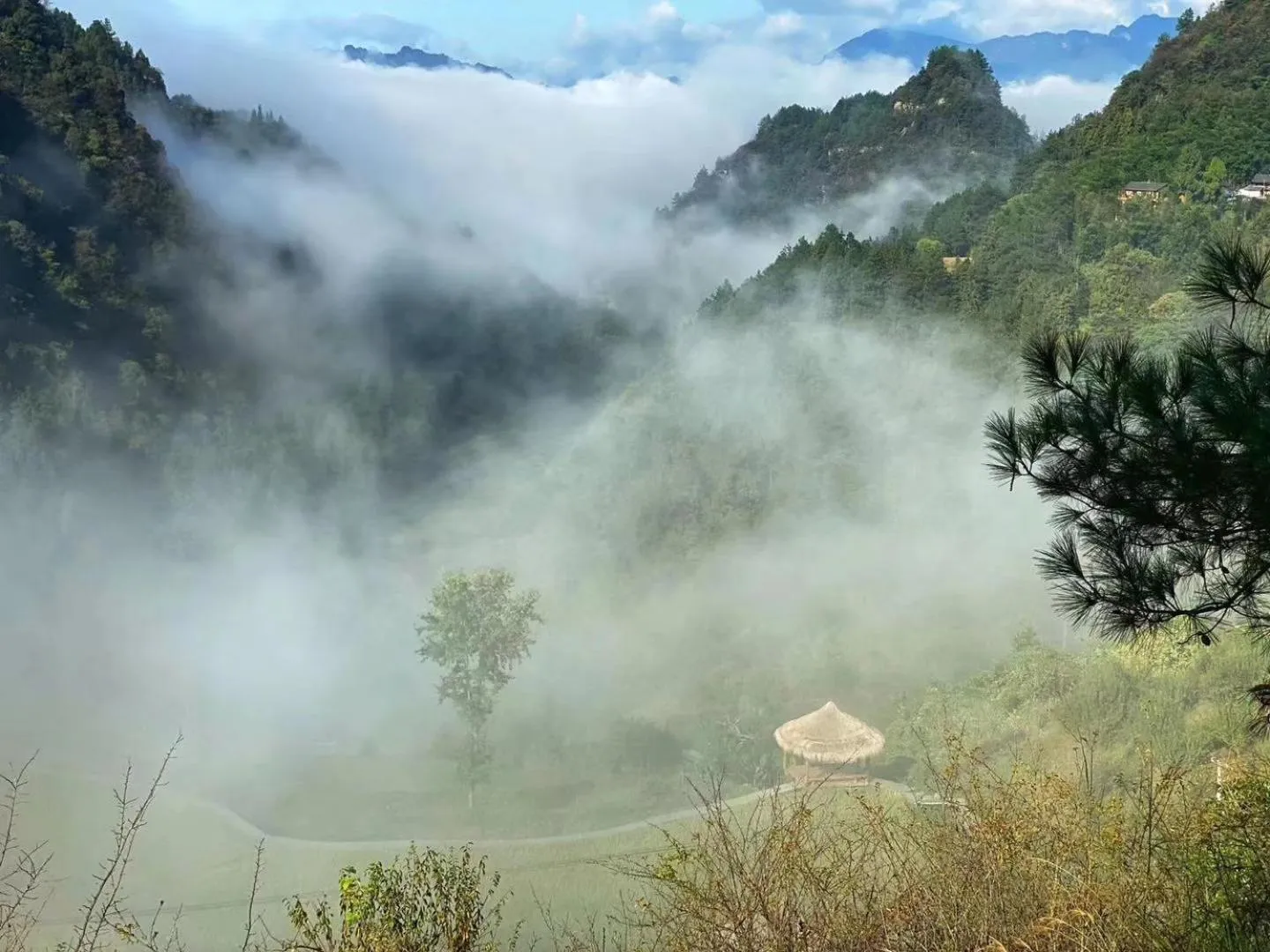 Garden in No.5 Valley Lodge