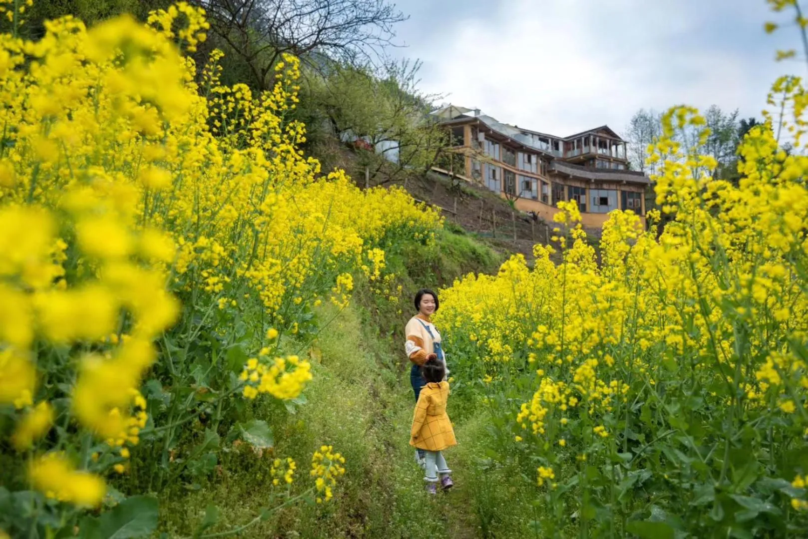 Spring in No.5 Valley Lodge