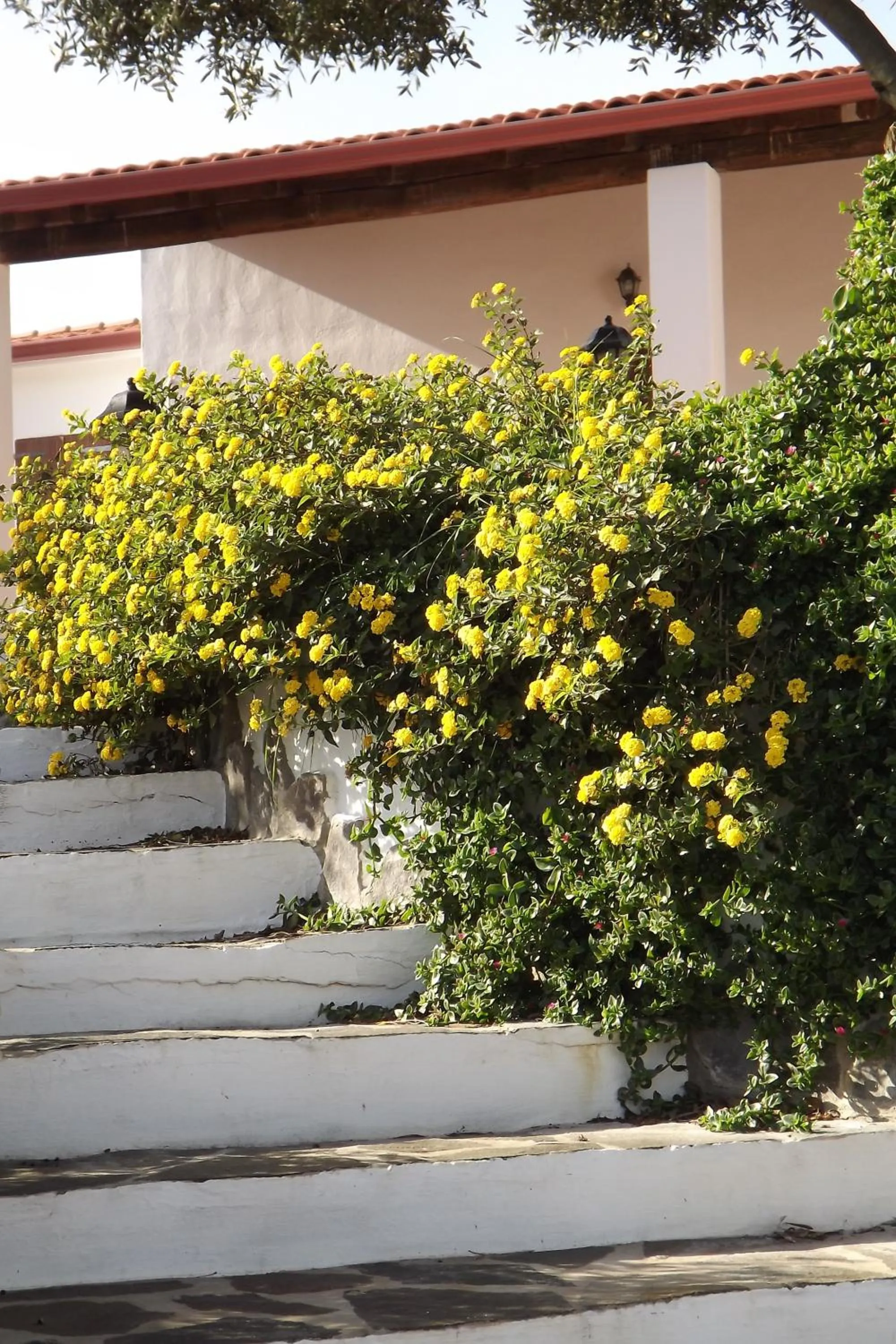 Facade/entrance in Sa Ruscitta