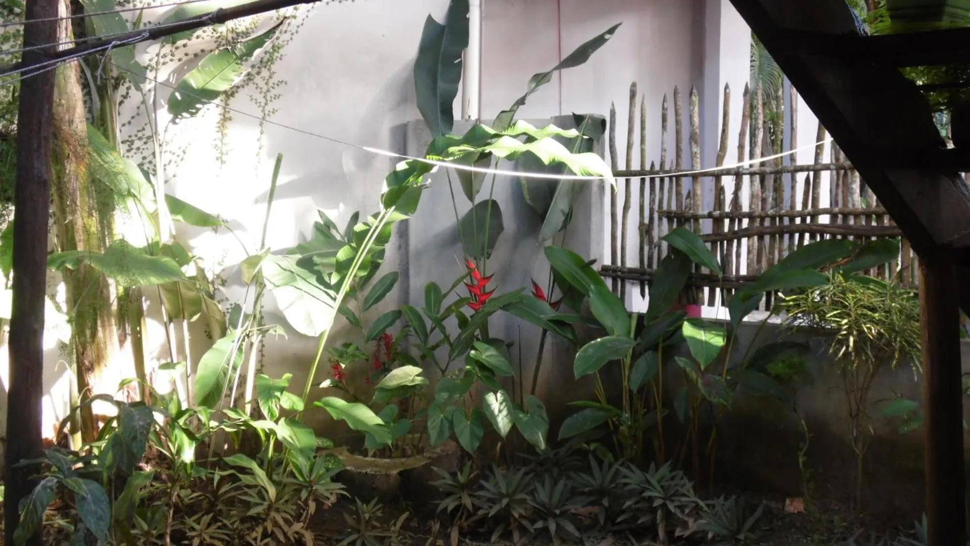 Garden in Casa da Jaca 02