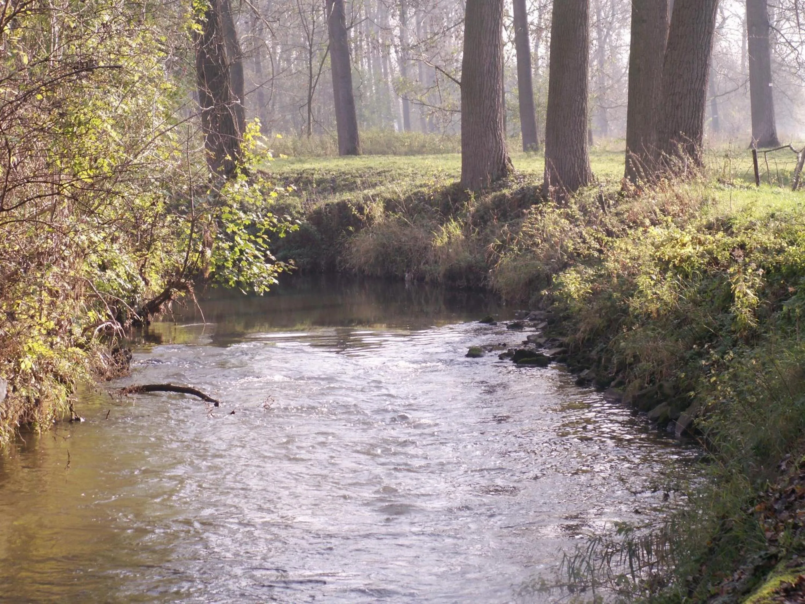 Off site in Hotel Bemelmans