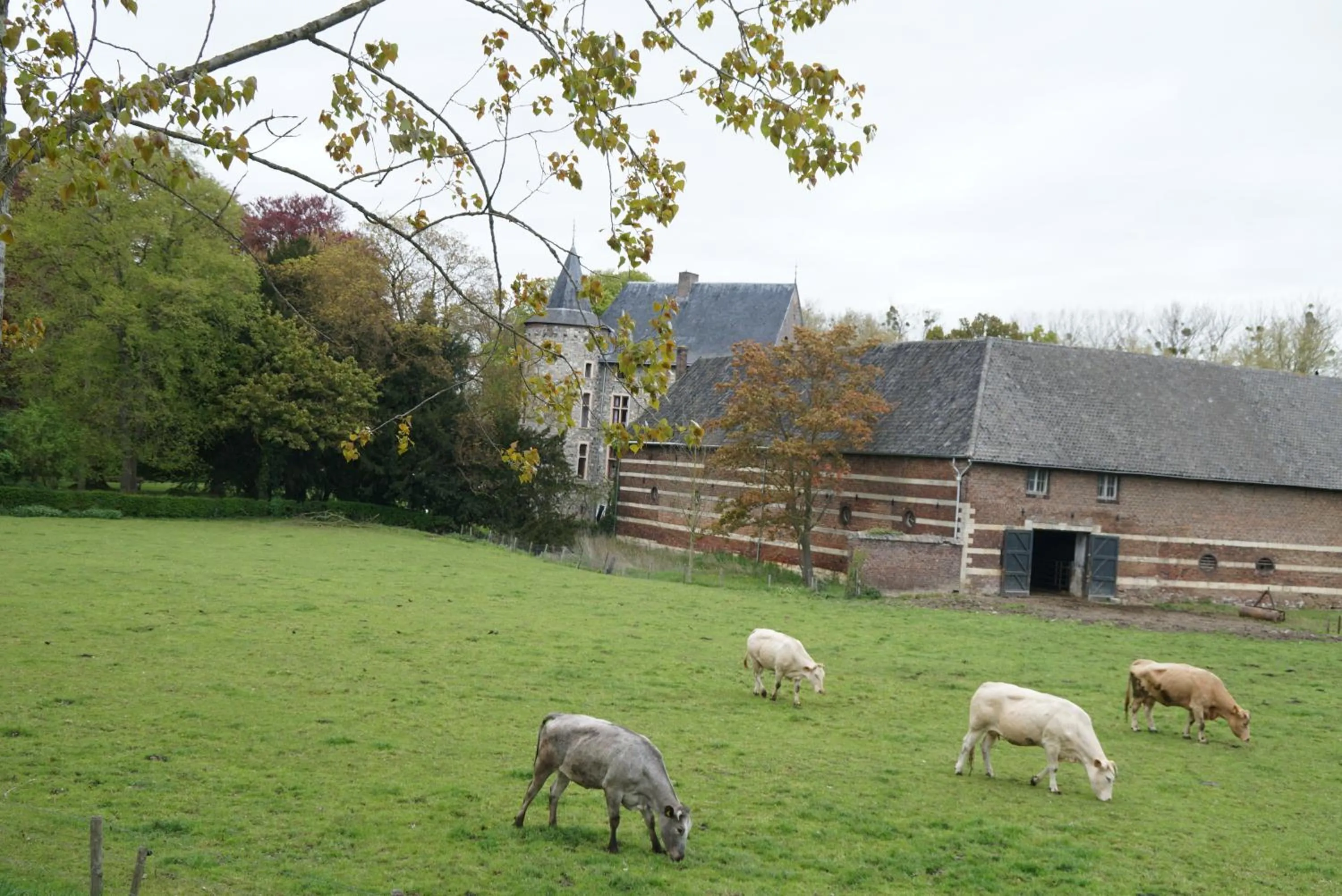 Off site in Hotel Bemelmans