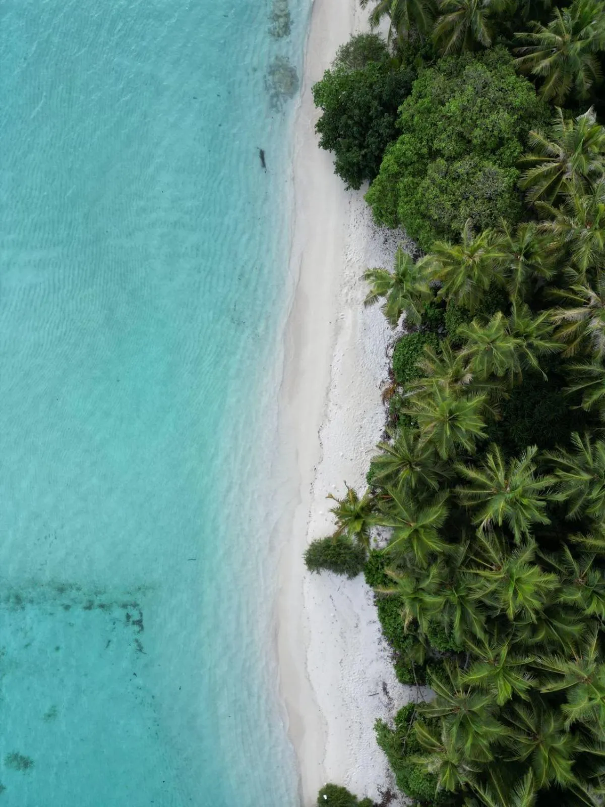 Beach in Isla Retreat