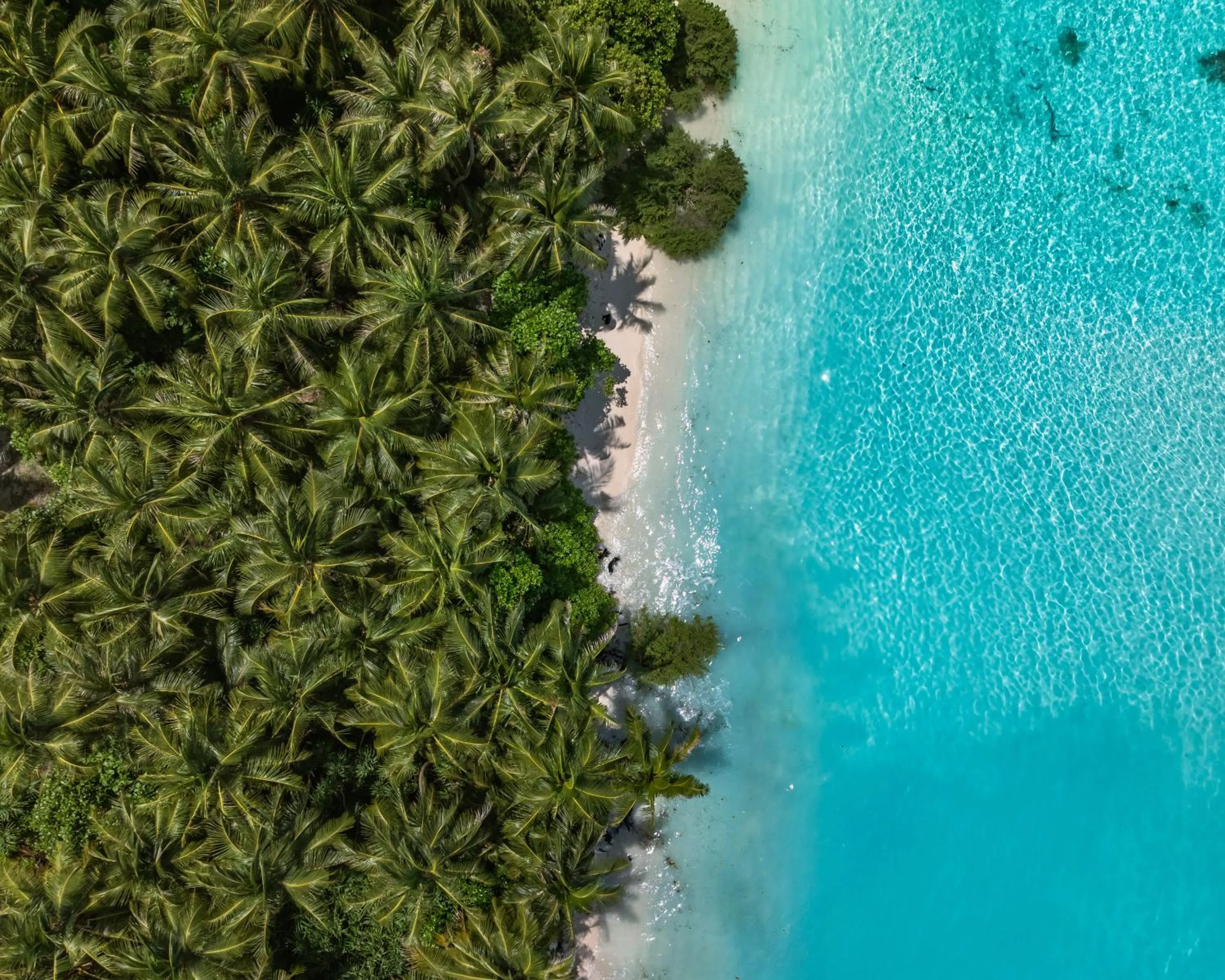 Beach in Isla Retreat