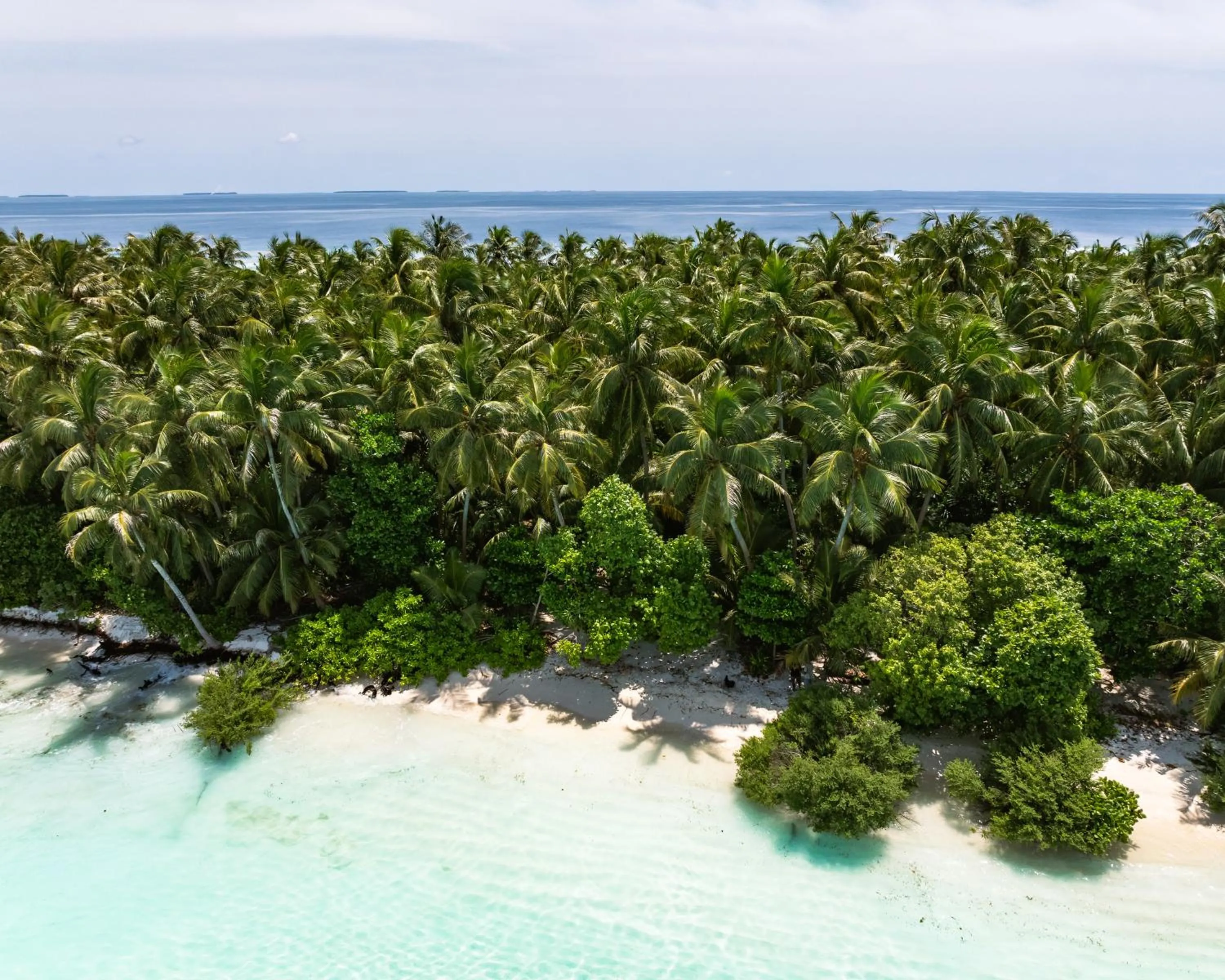 Beach in Isla Retreat