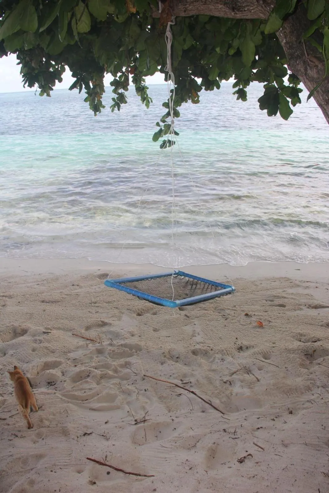 Natural landscape in Isla Retreat