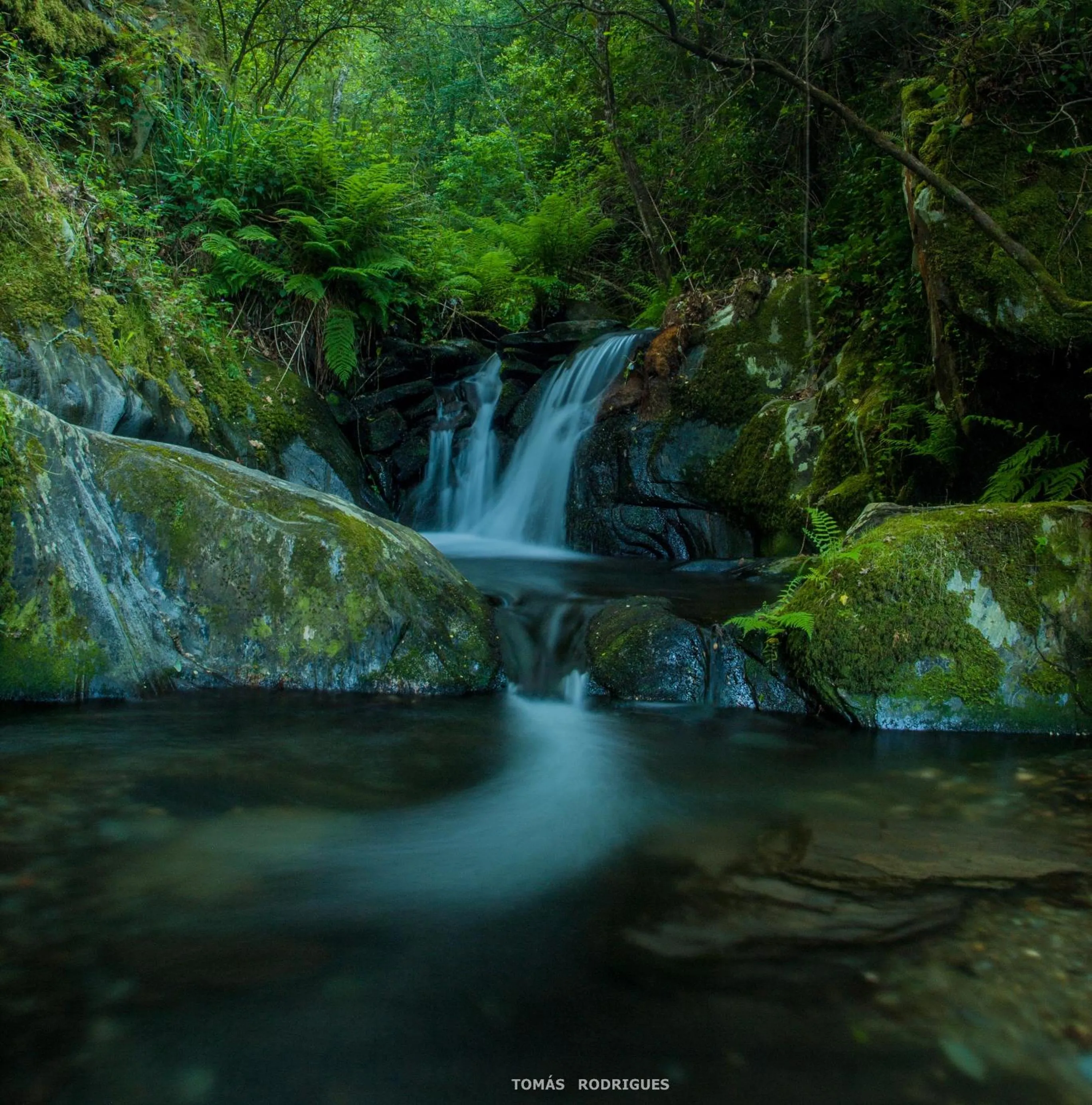 Natural landscape in Hotel de Arganil
