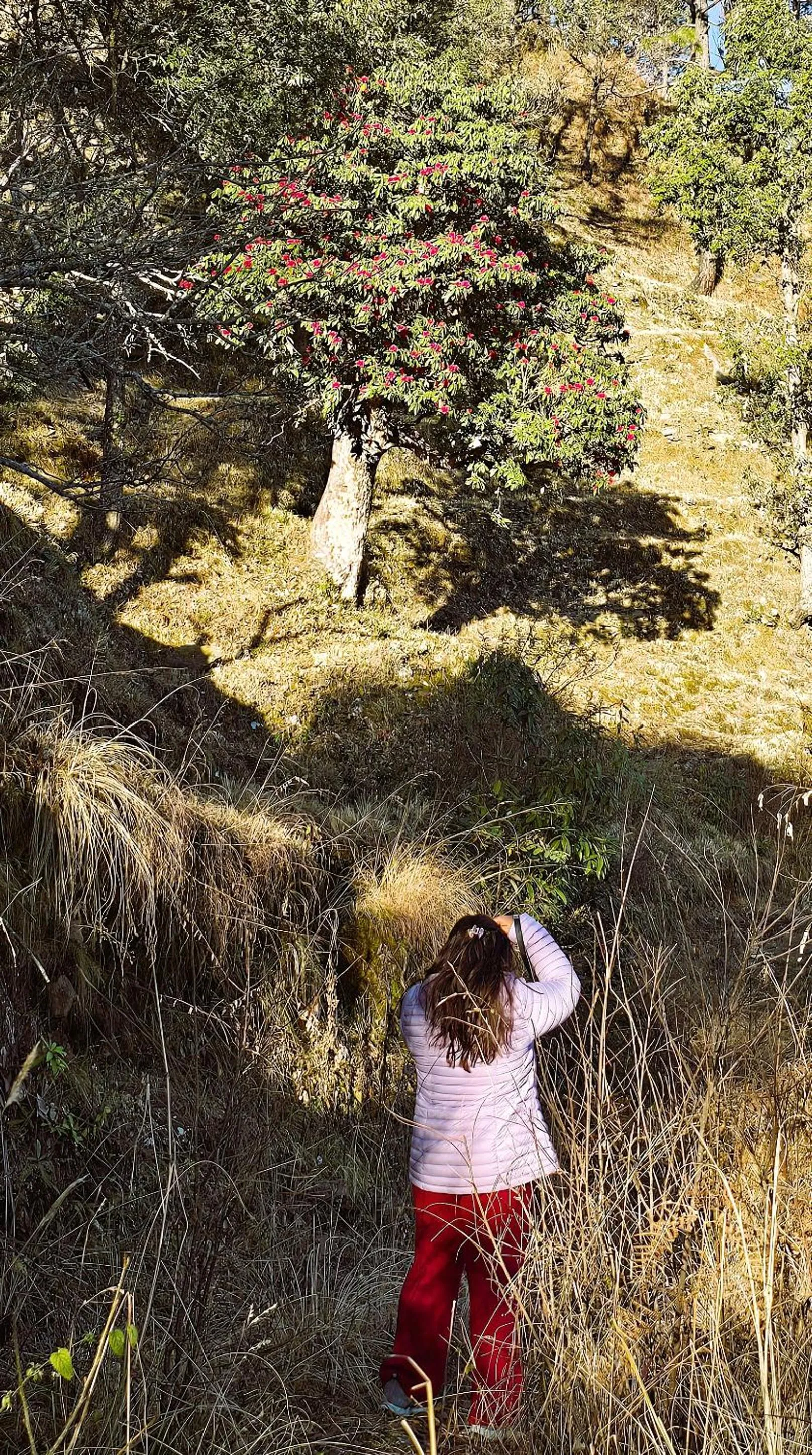 Hiking in The Pluck- Boutique Luxury Homestay