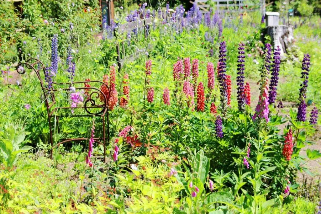 Ryobou Hanaemi Hotel