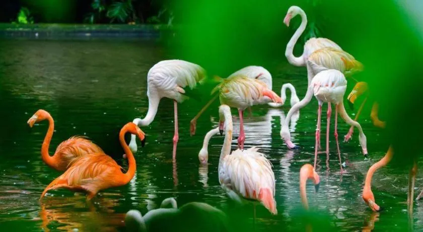 Borrman Hotel Guangzhou Quzhuang Metro Station