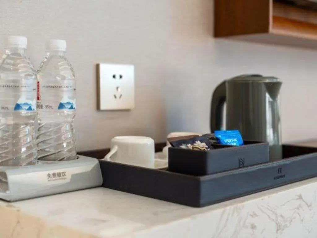 Borrman Hotel Guangzhou Southern Hospital Meihuayuan Metro Station