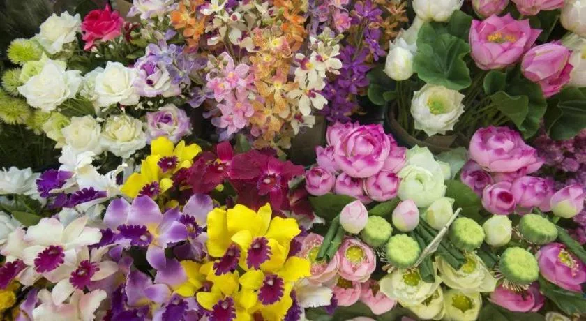 RoomQuest Chiang Mai Tha Sala