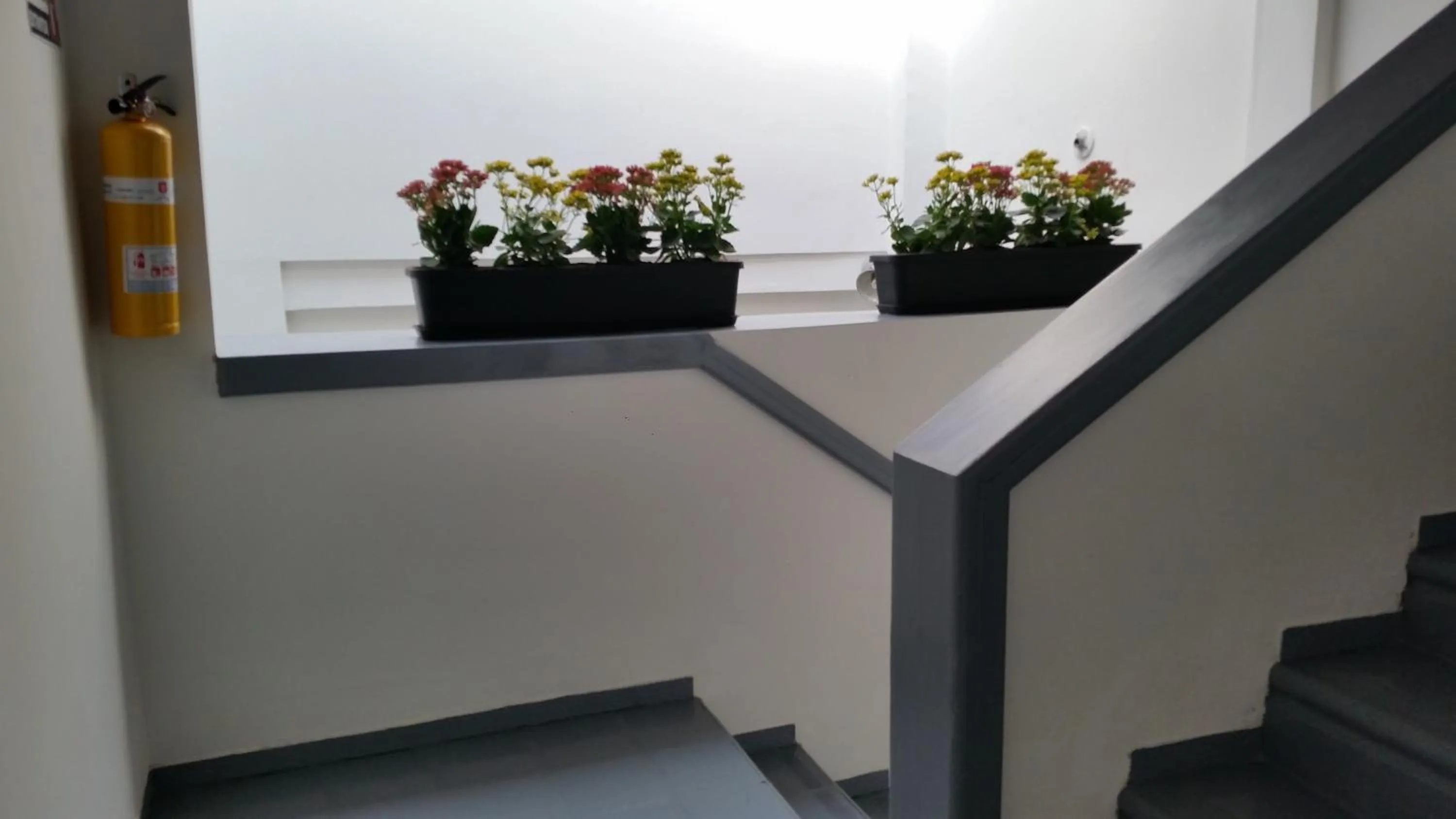 Other in Hostal Lleras Calle 8