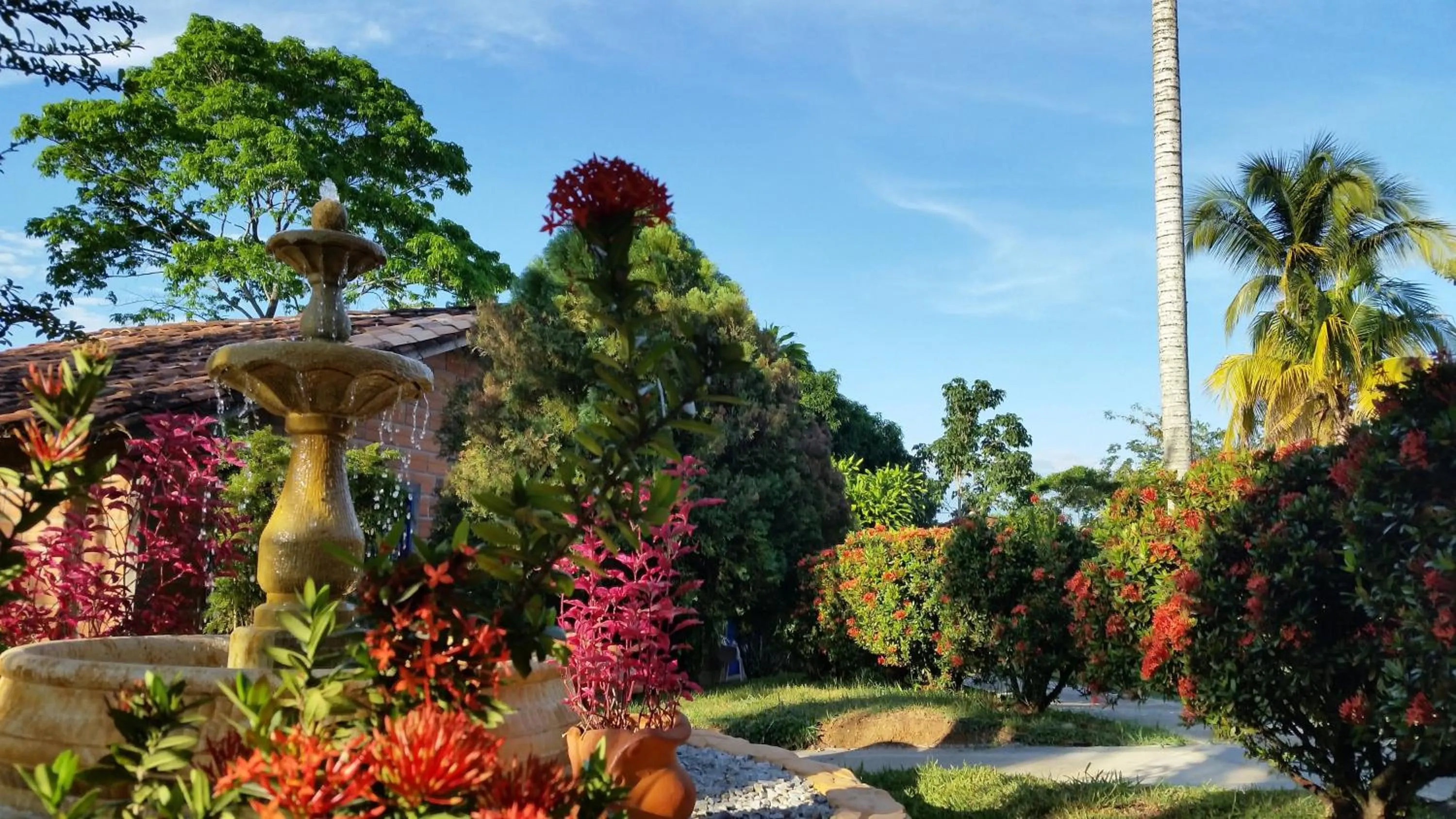 Garden in Hotel Parador del Gitano