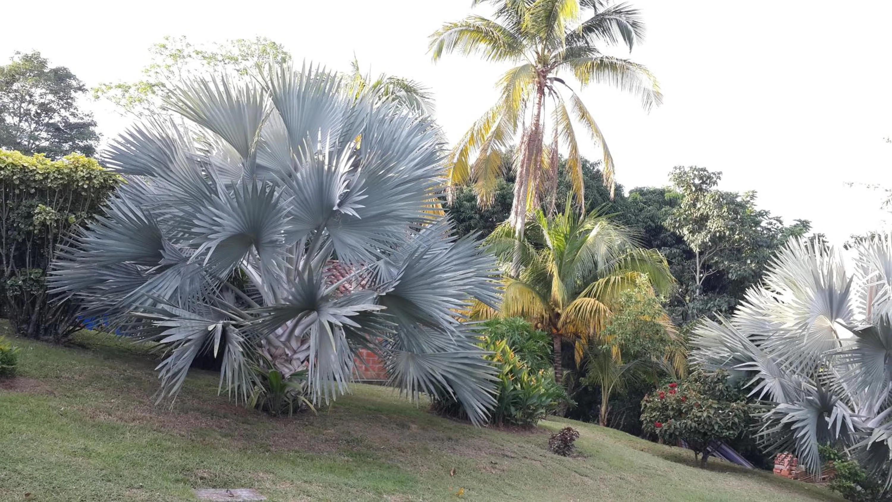 Natural landscape in Hotel Parador del Gitano