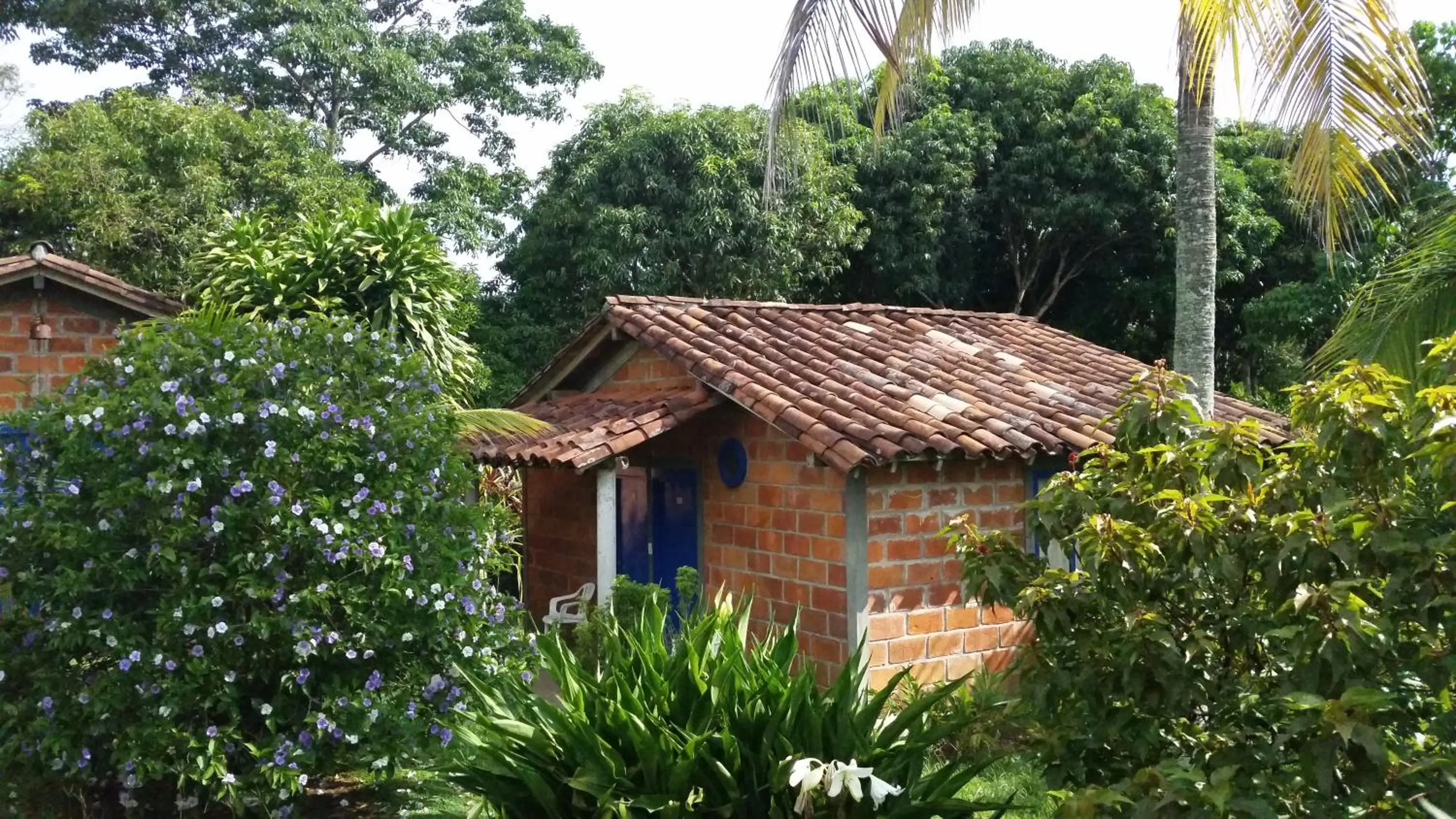 Natural landscape in Hotel Parador del Gitano