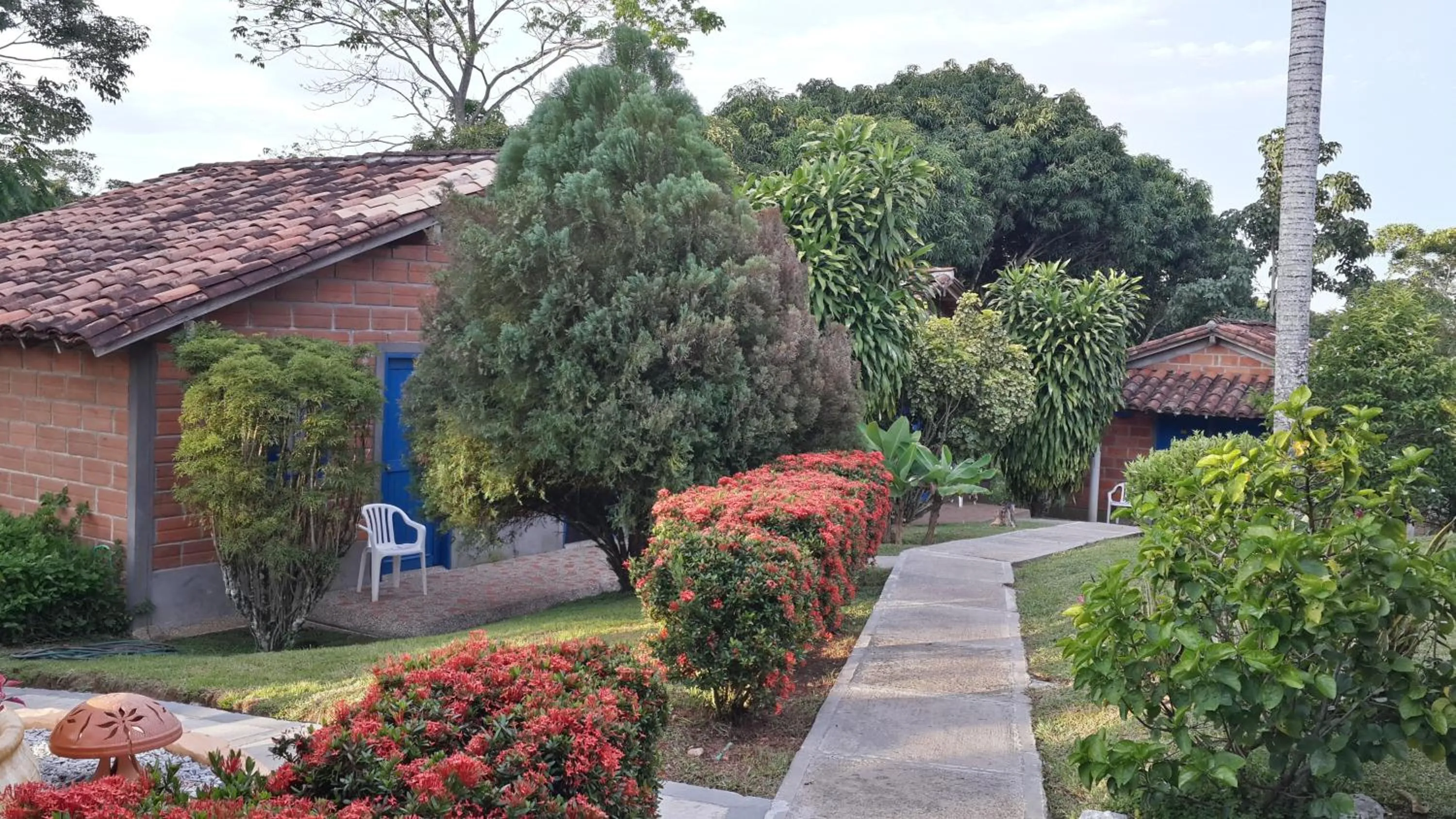 Garden in Hotel Parador del Gitano