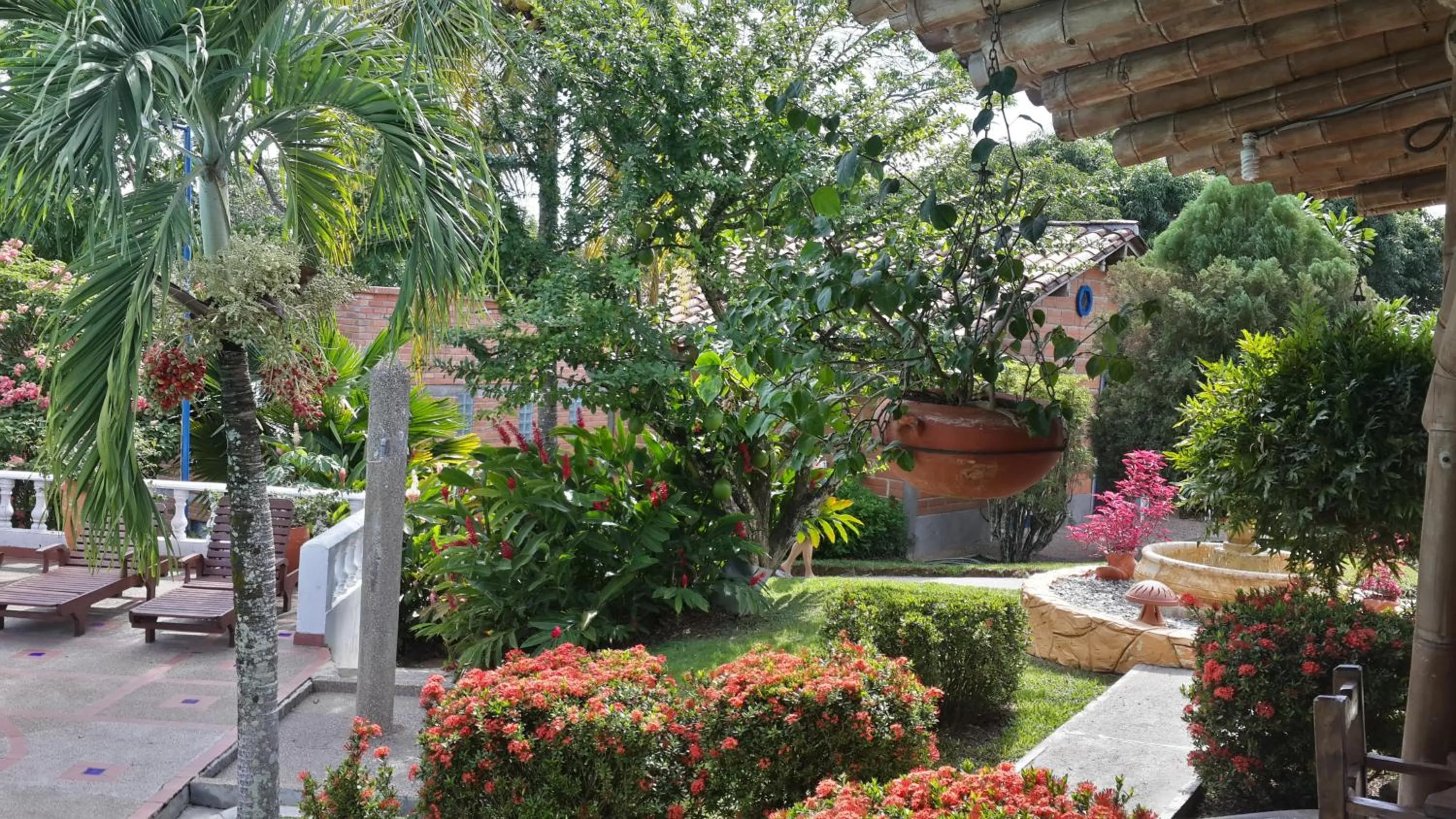 Garden in Hotel Parador del Gitano