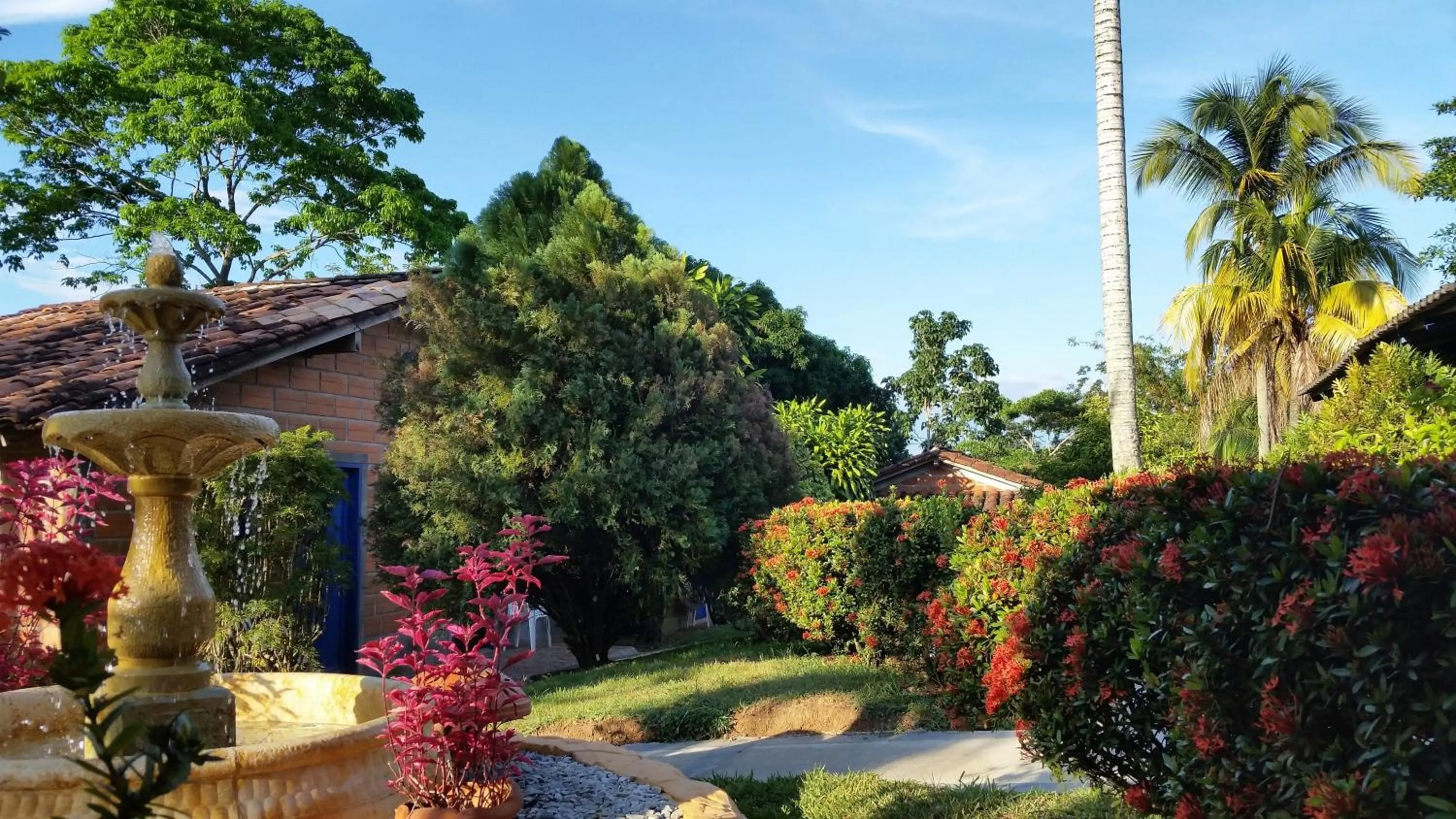Garden in Hotel Parador del Gitano