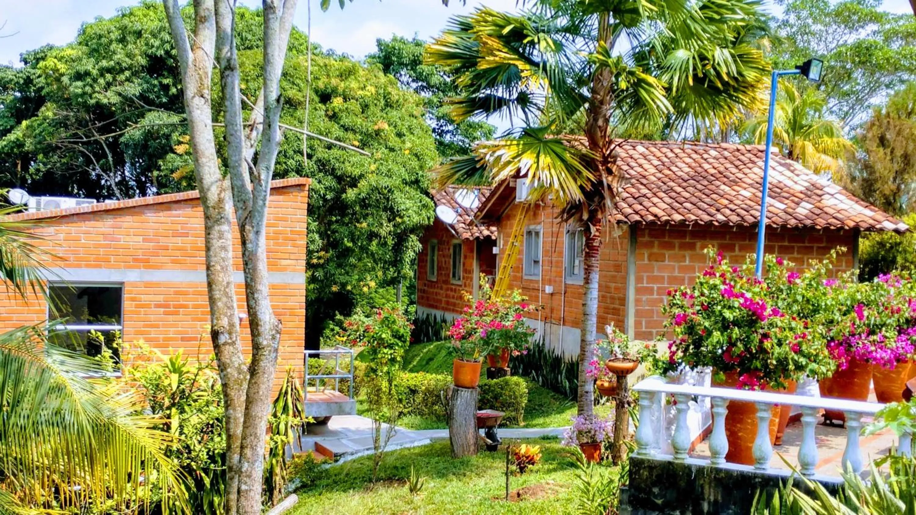 View (from property/room) in Hotel Parador del Gitano