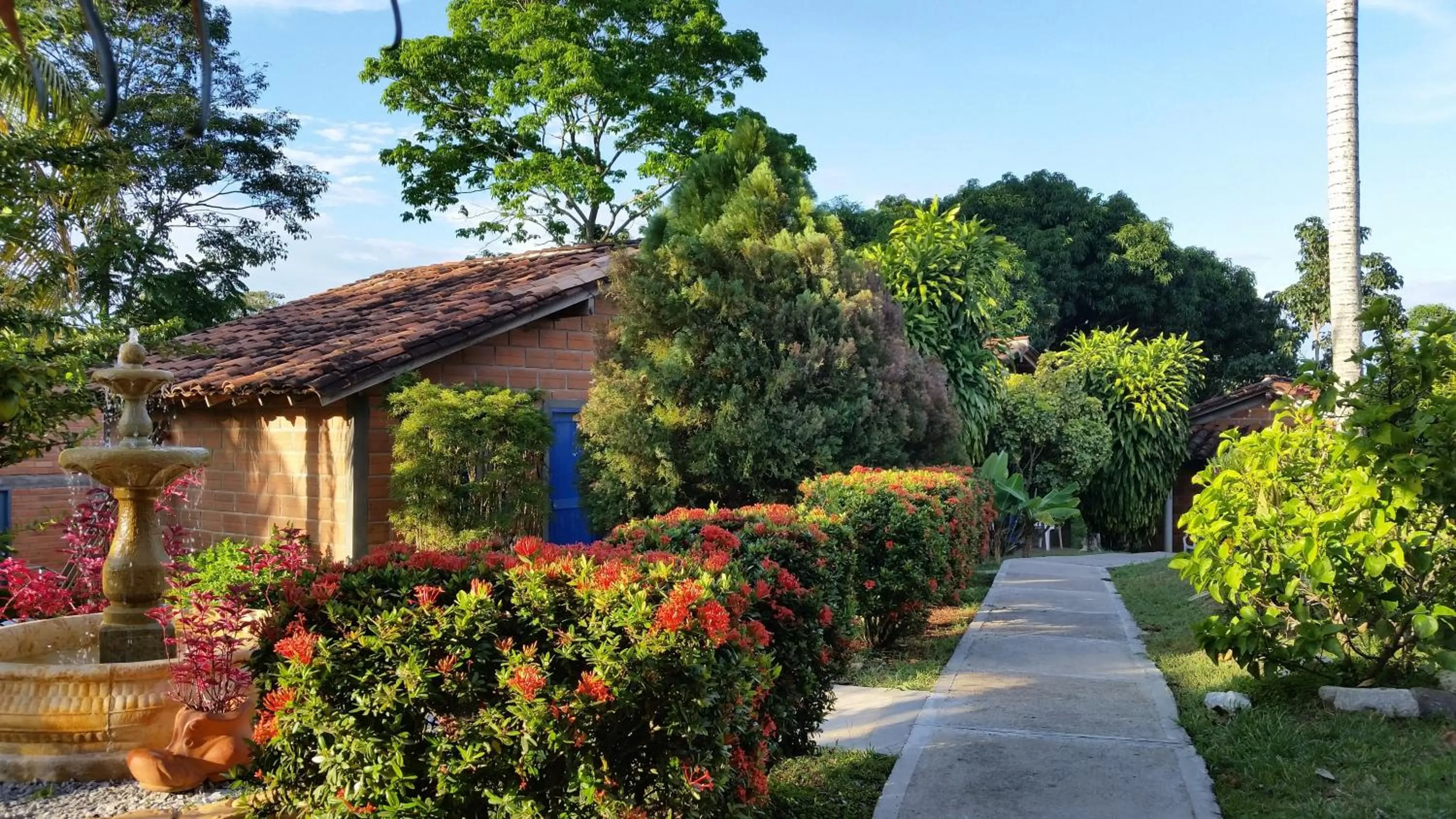 Garden in Hotel Parador del Gitano
