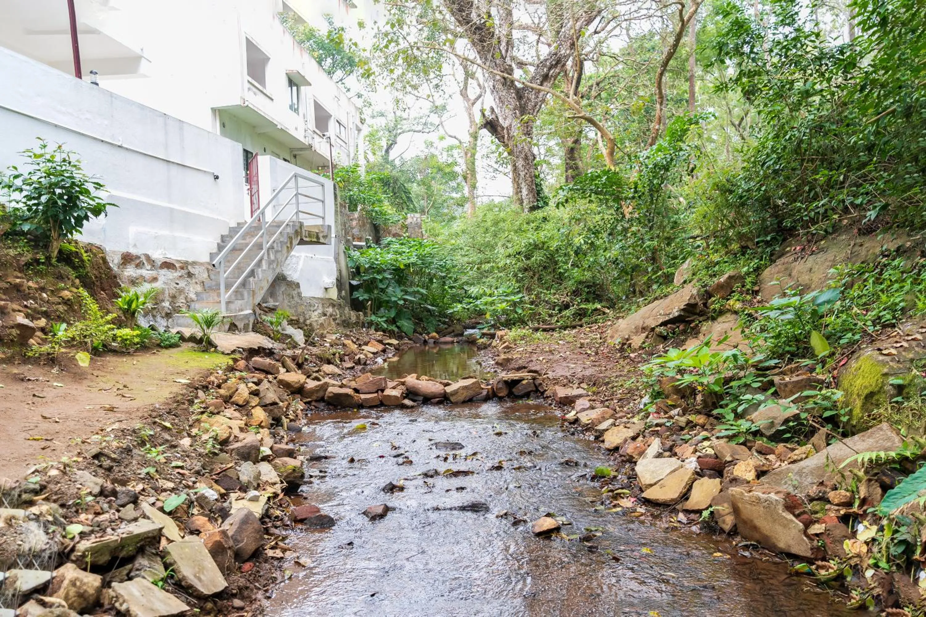 Garden in DK Resortss