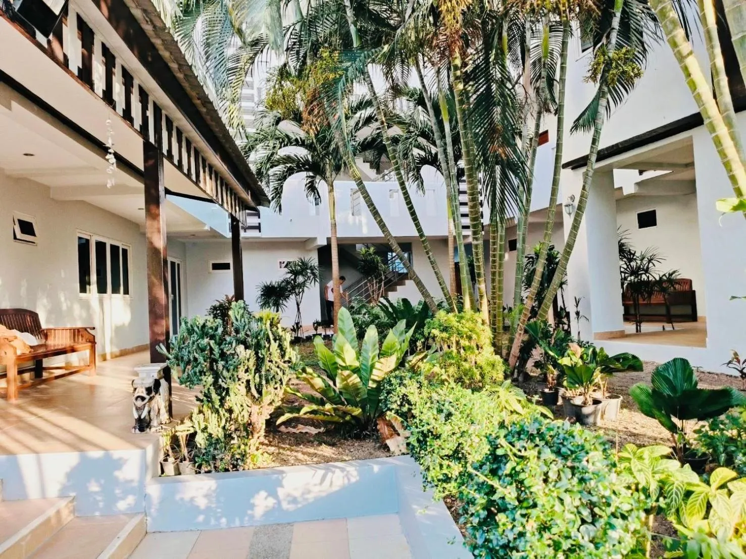 Garden in Siray House