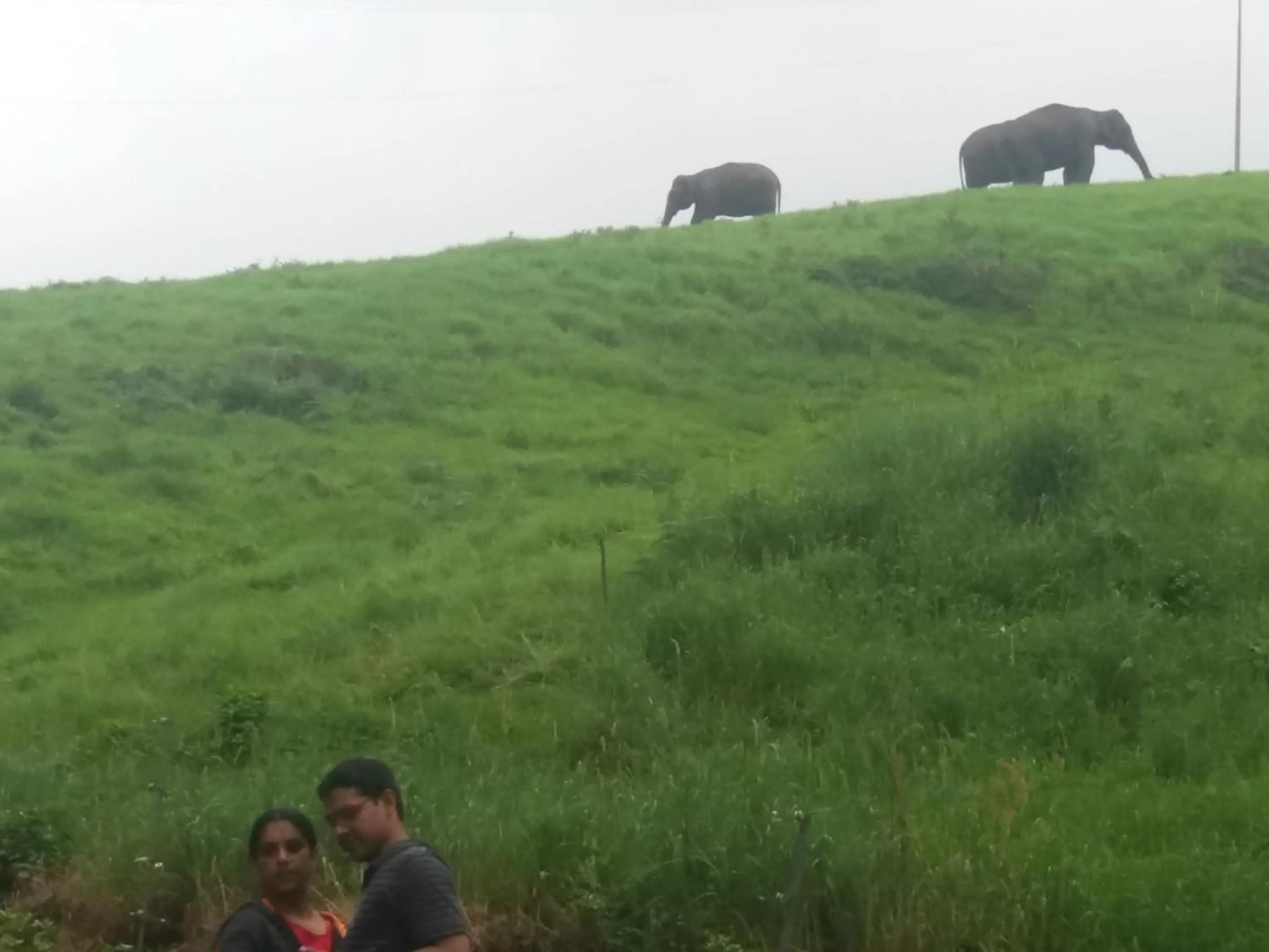 Hiking in Monsoon Grande