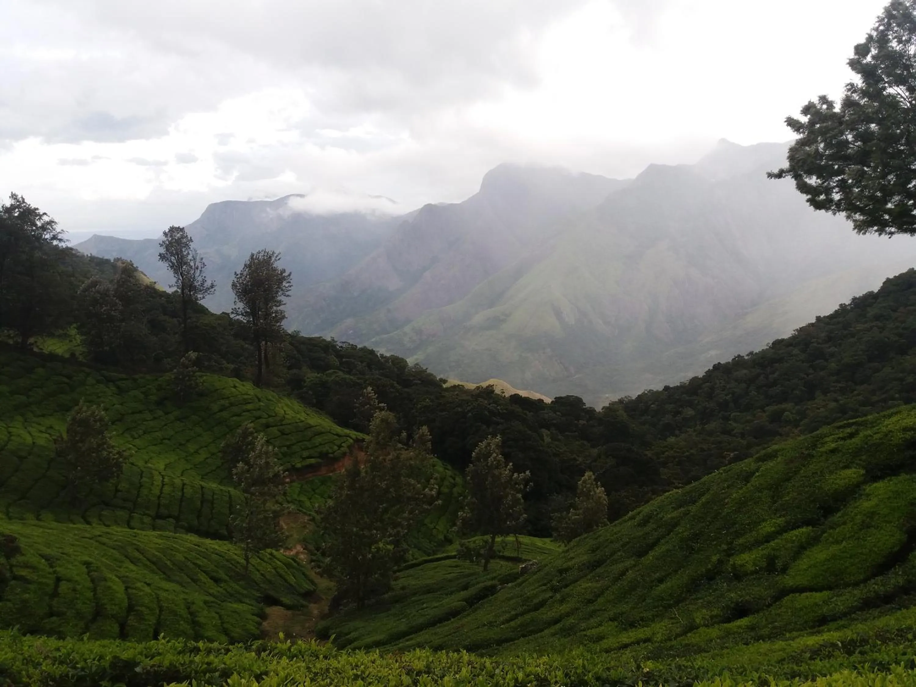 Natural landscape in Monsoon Grande