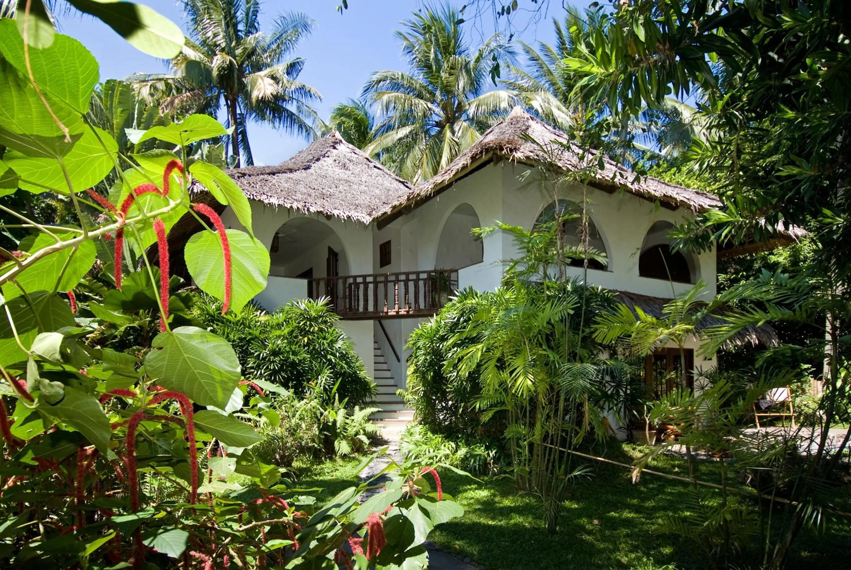 Garden view in Atlantis Dive Resort Dumaguete