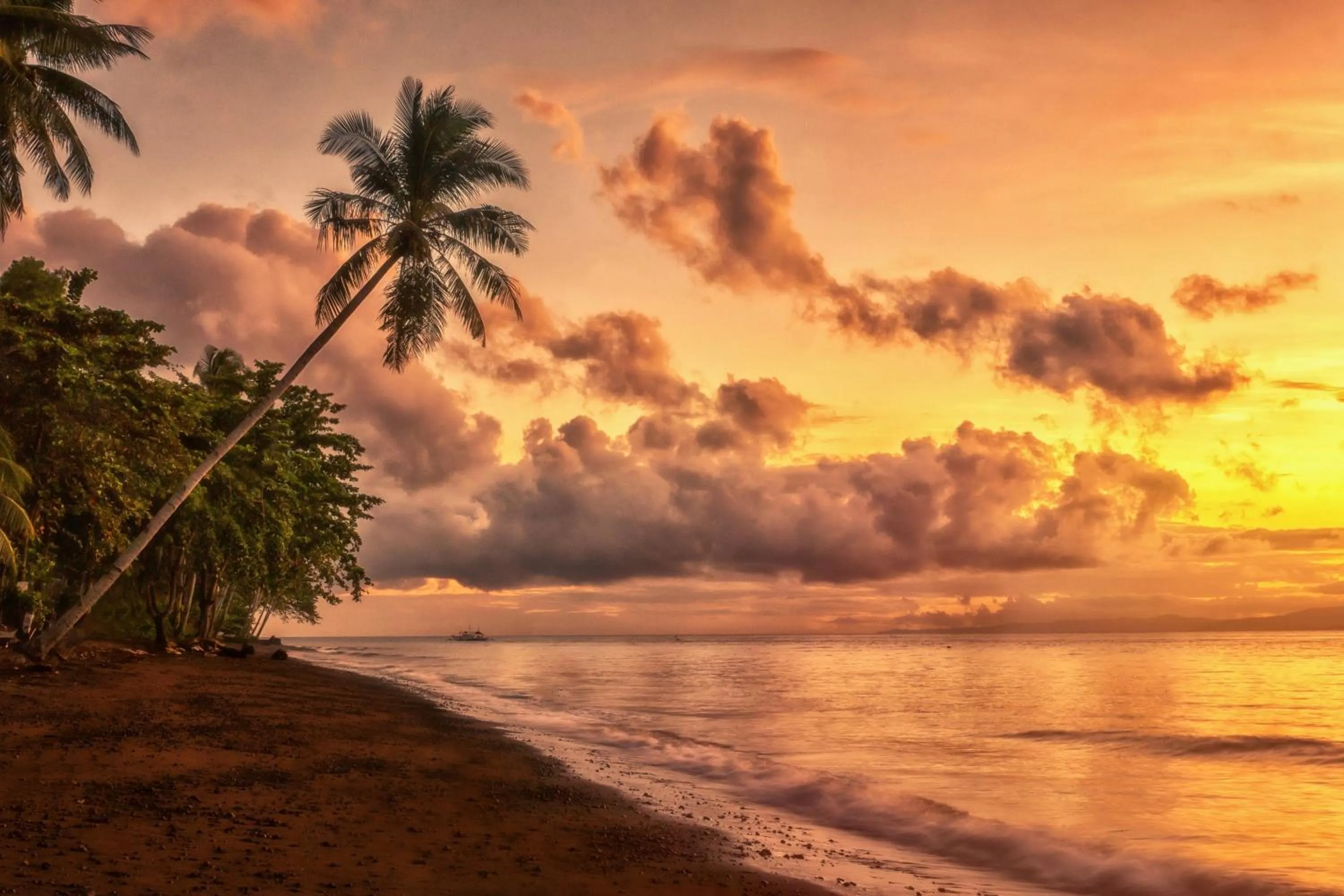 Natural landscape in Atlantis Dive Resort Dumaguete