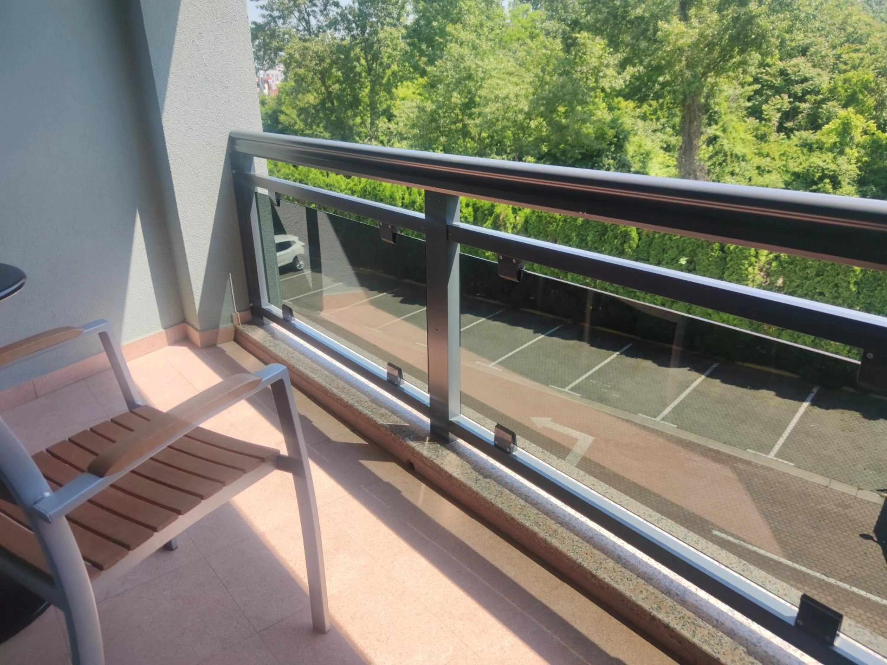 Balcony/Terrace in Hotel Europa