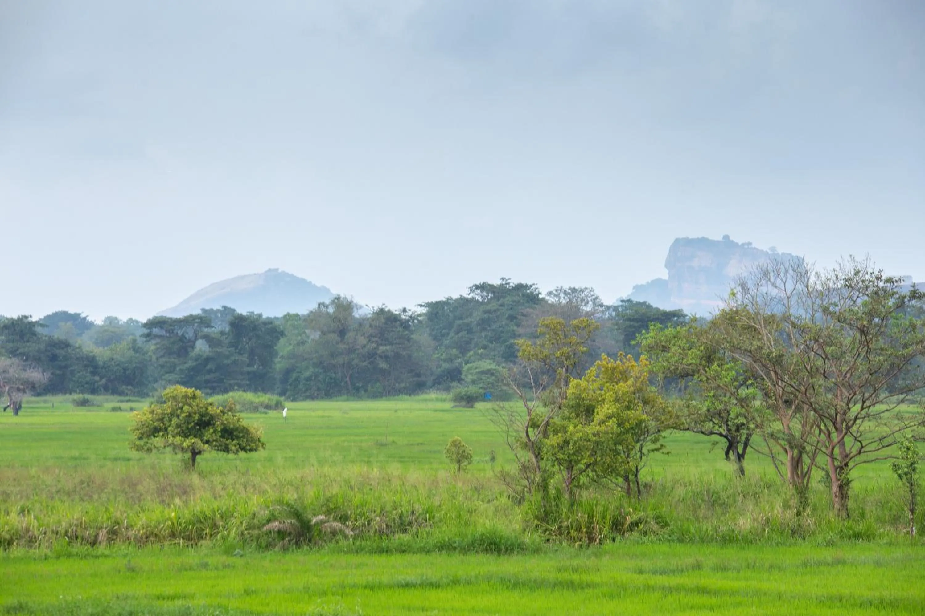 View (from property/room) in The Hideout Sigiriya