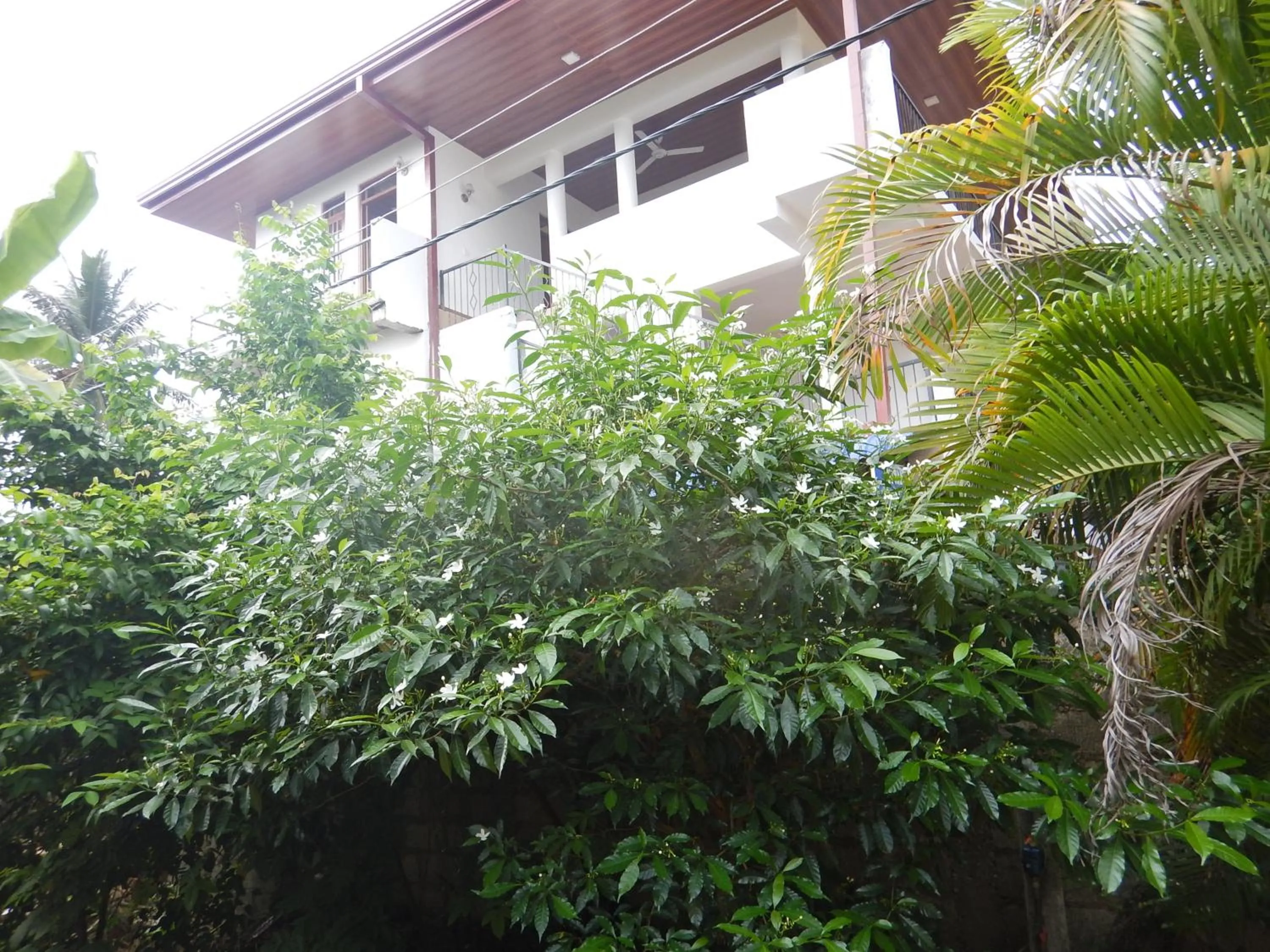 Family Room with Balcony in Suwani Pinnawala Homestay