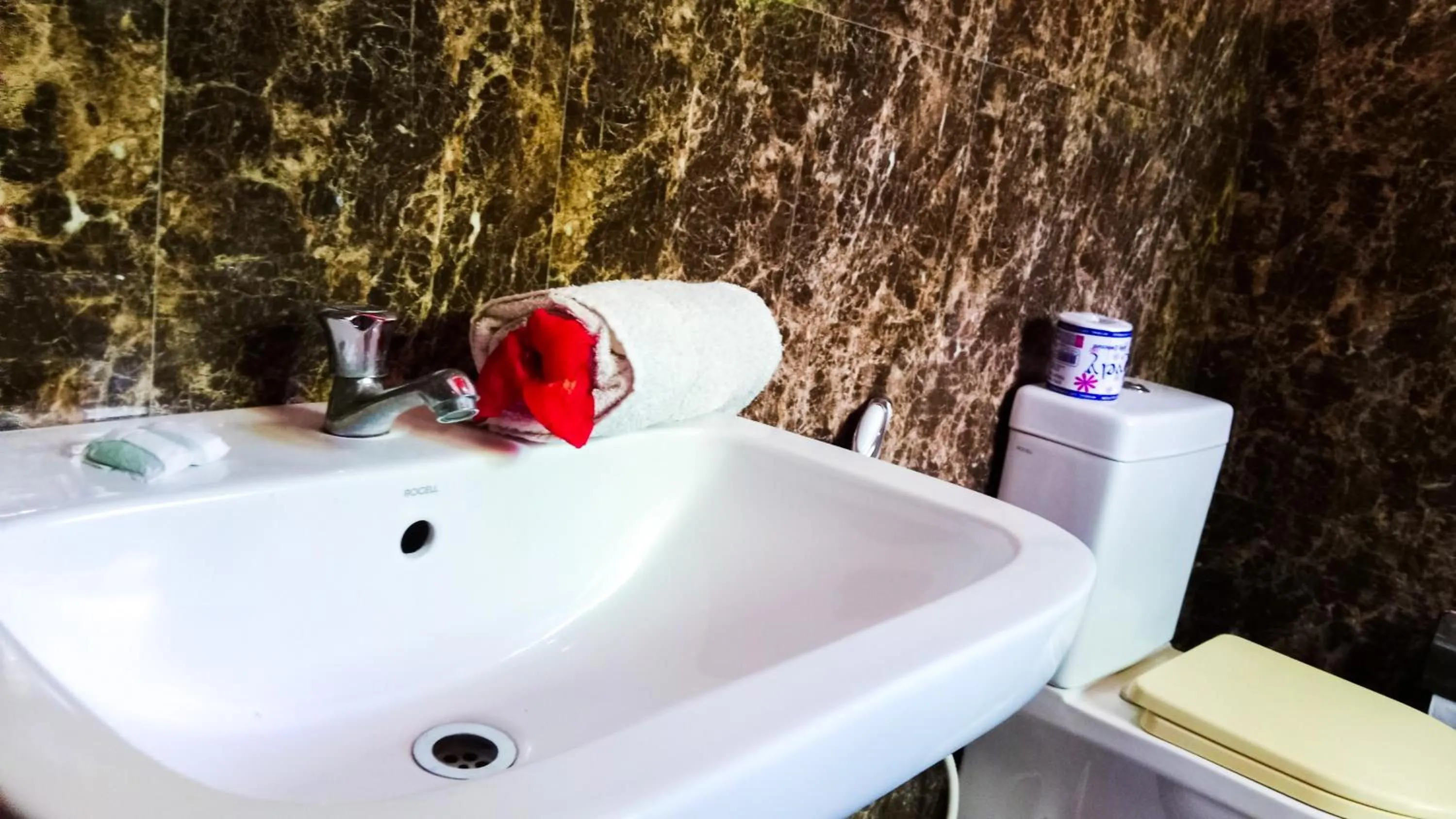 Bathroom in Sigiri Thilanka Rest Sigiriya