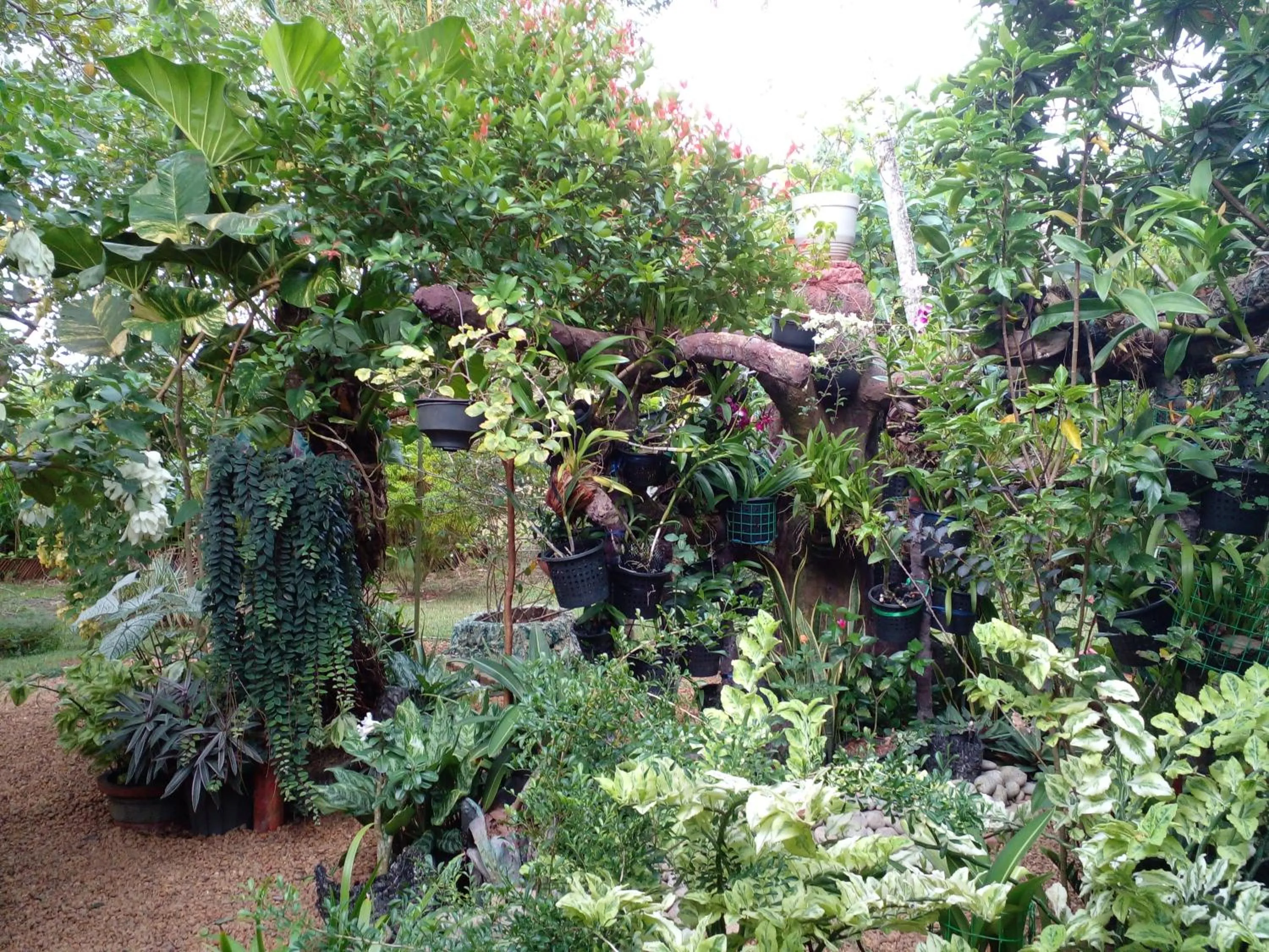 Property building in Zum Deutschen