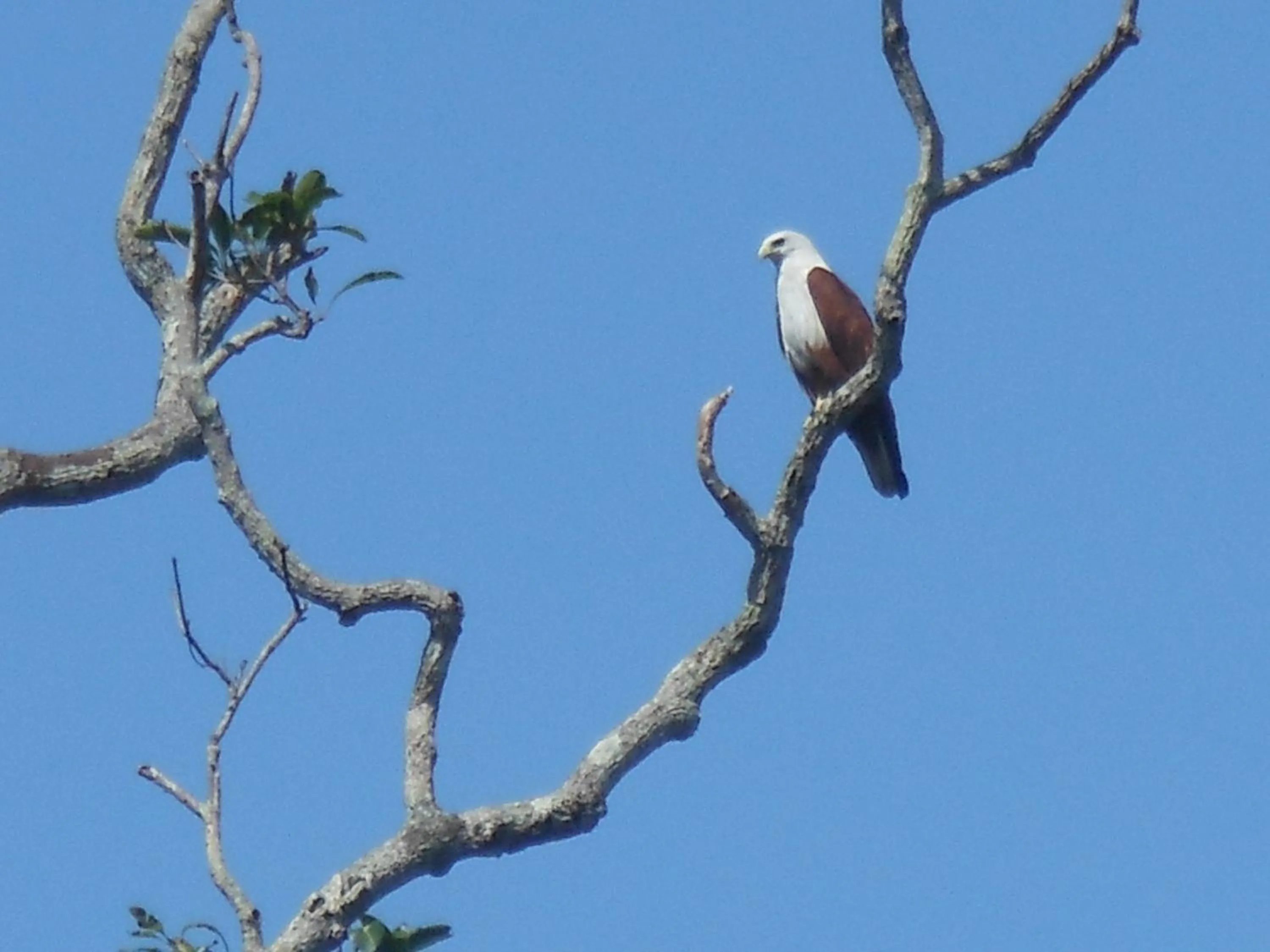 Day in Zum Deutschen