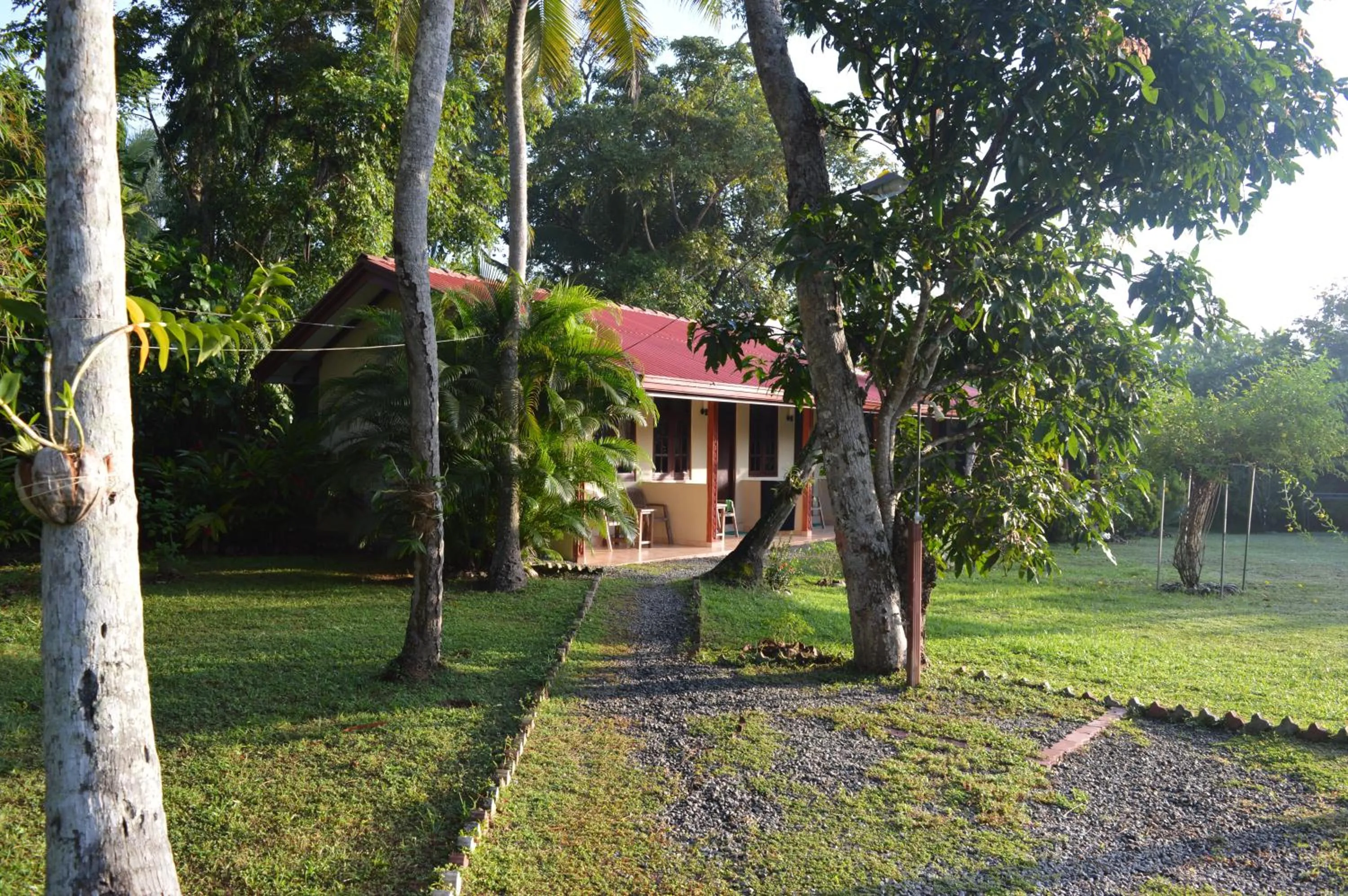 Balcony/Terrace in Zum Deutschen