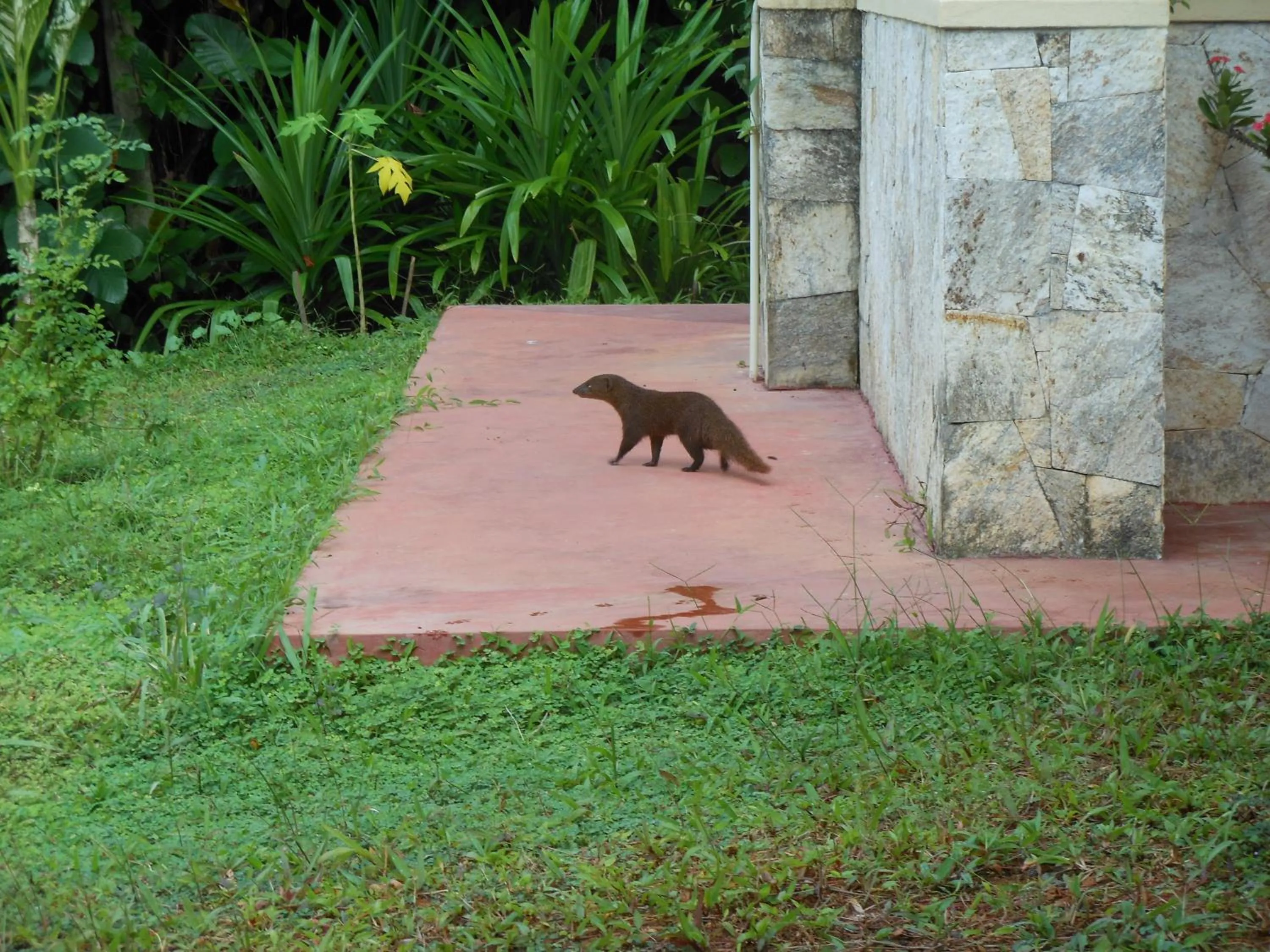 Day in Zum Deutschen