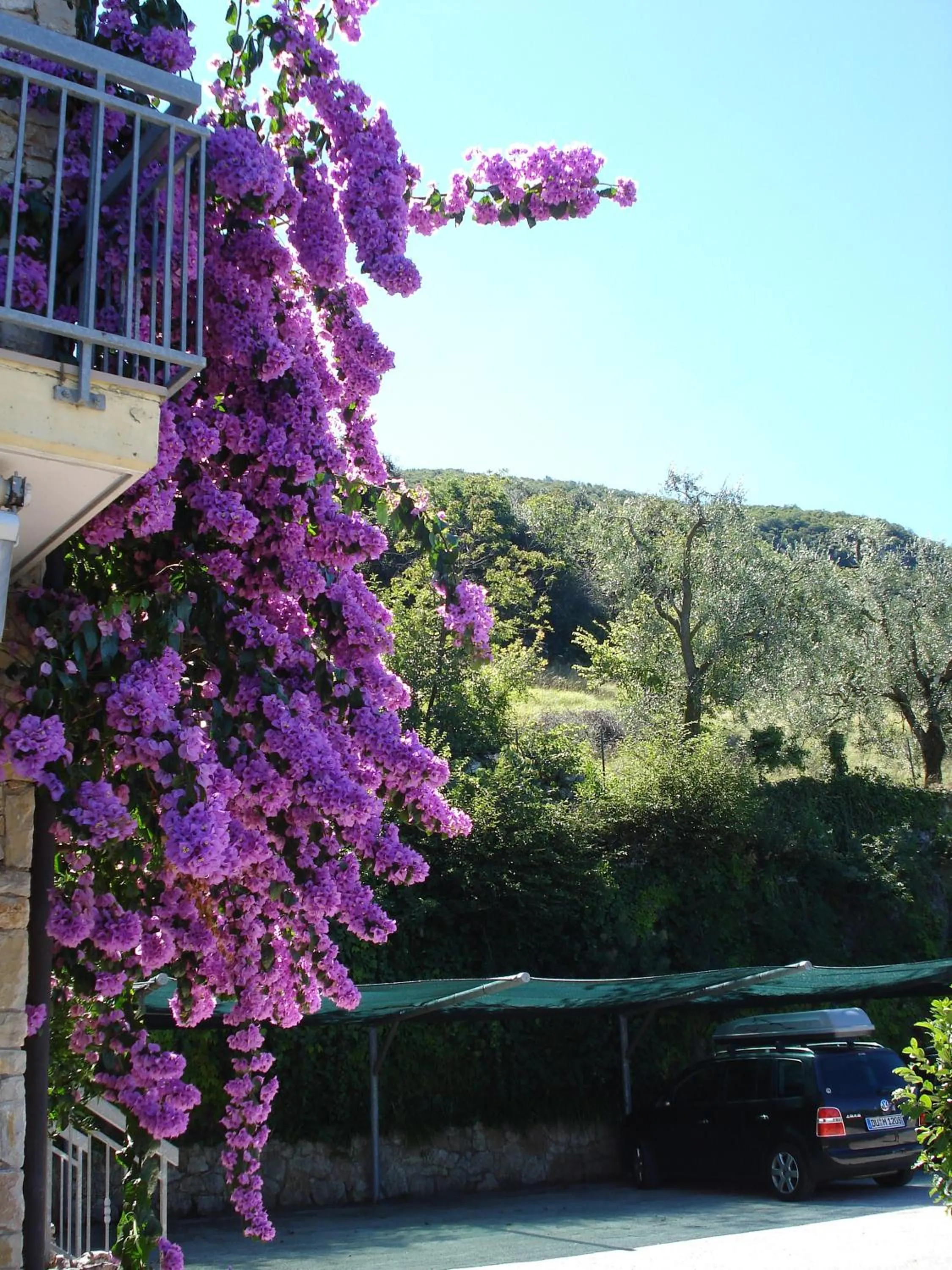 Property building in Taki Village