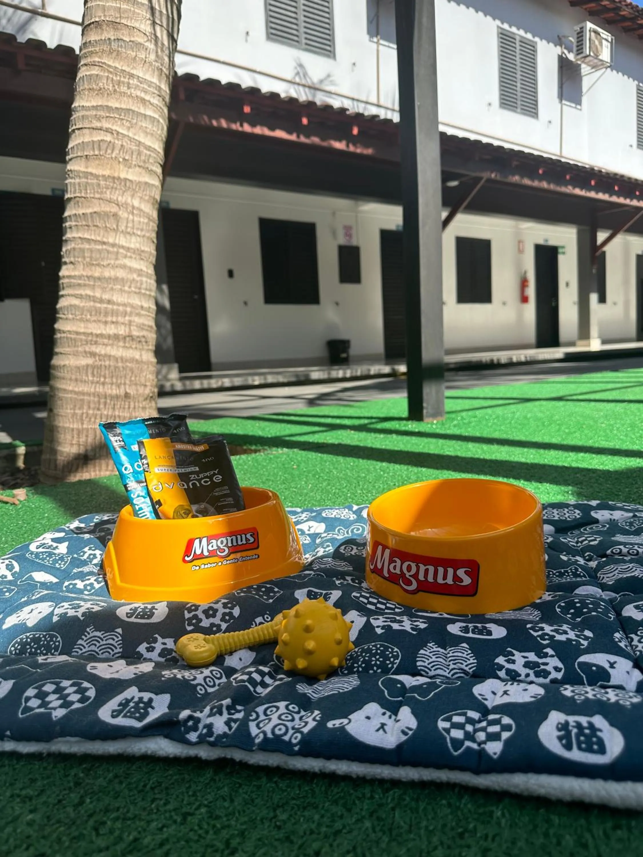 Pets in Pousada Aguas Quentes