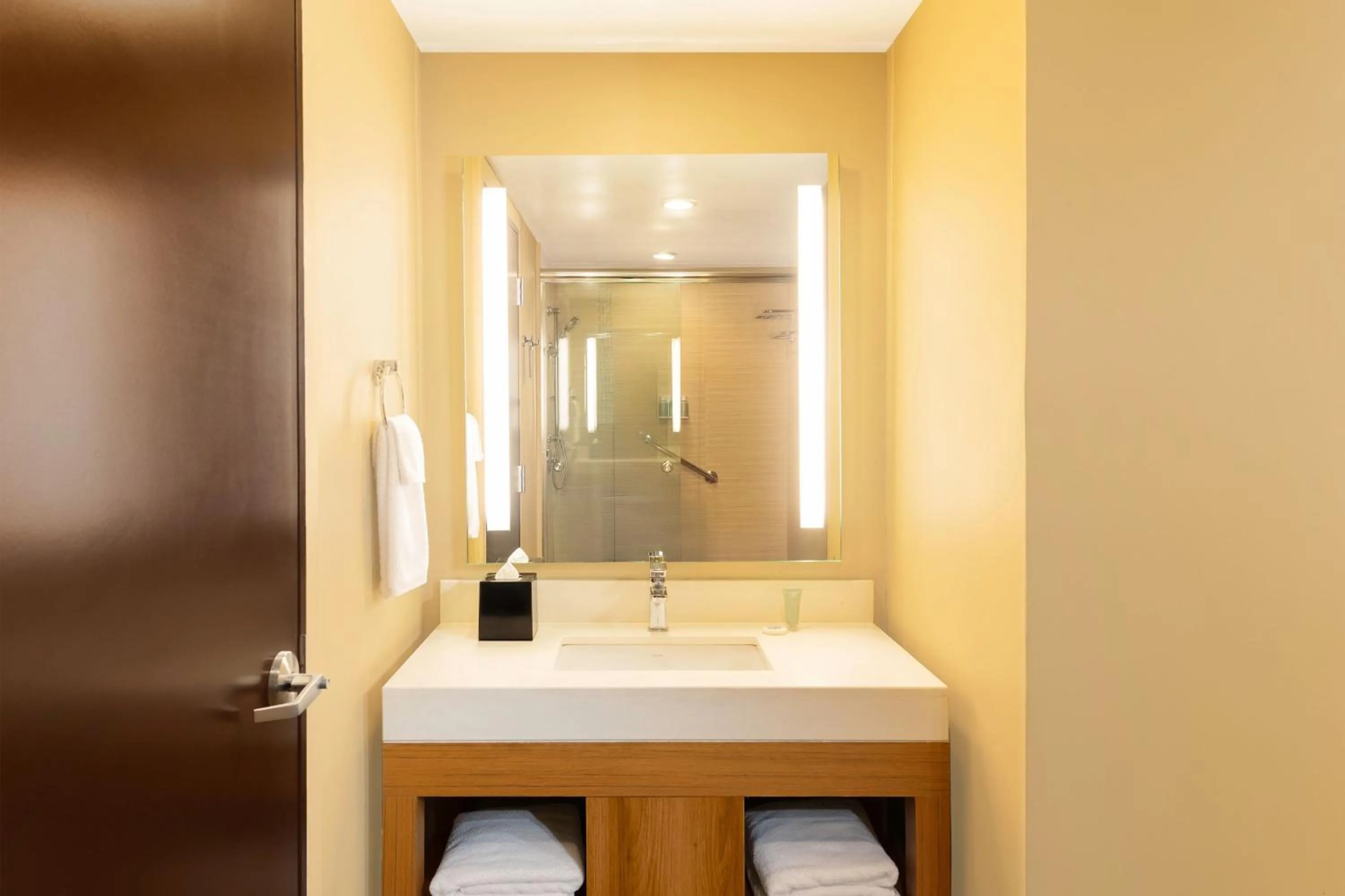 Bathroom in Hyatt Place Ciudad del Carmen